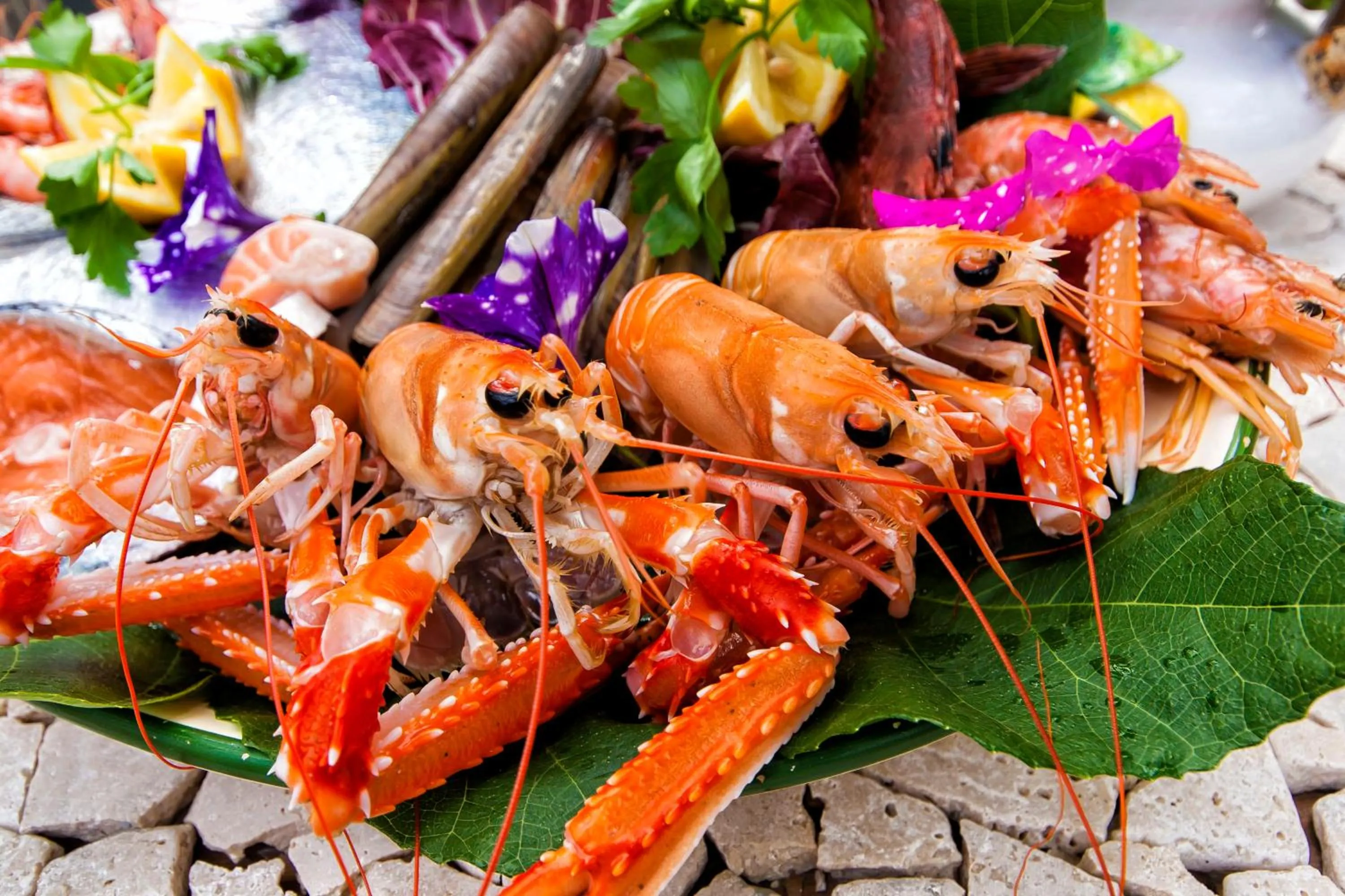 Restaurant/places to eat in hotel la rondinella