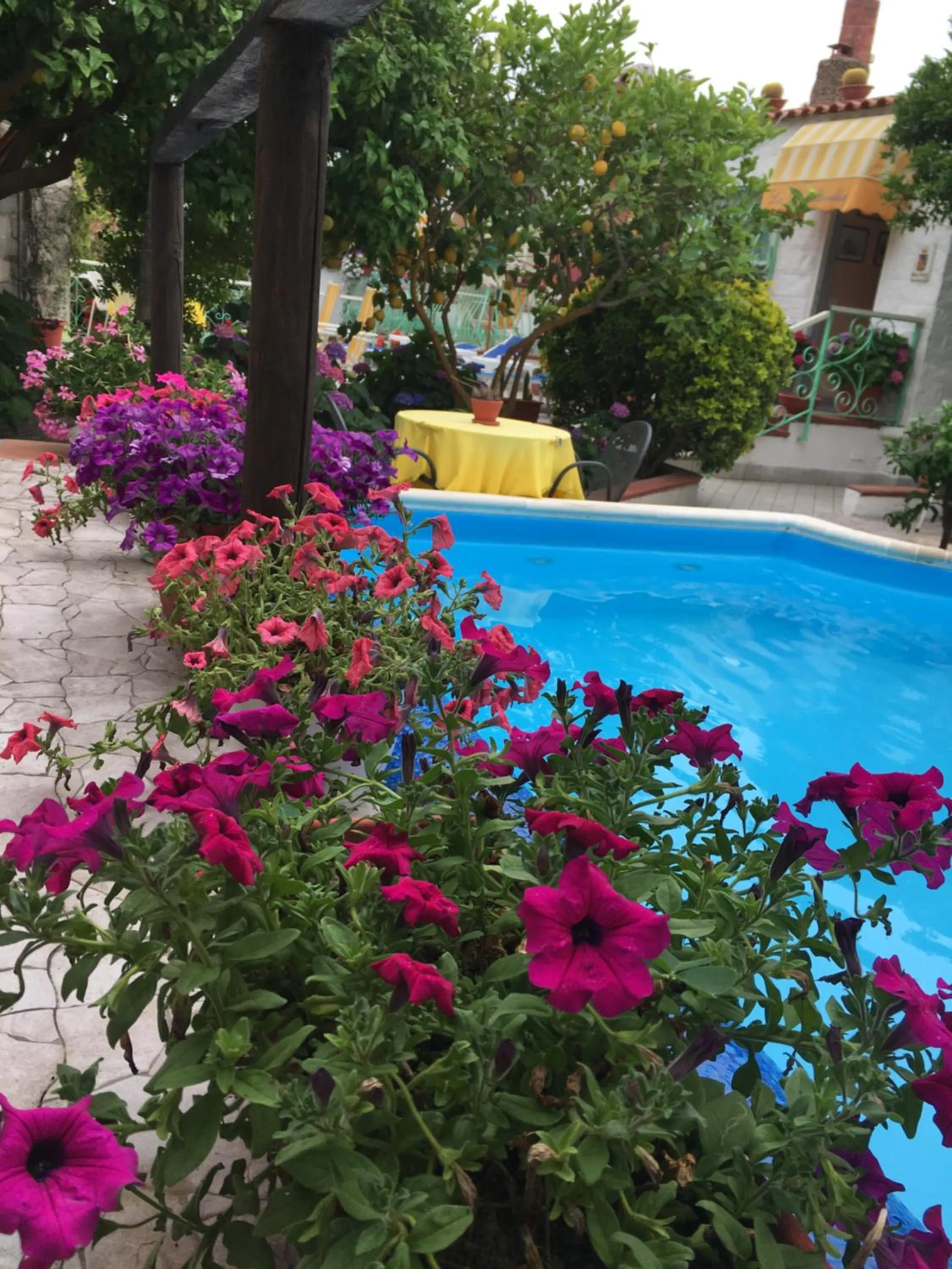 Pool view in hotel la rondinella