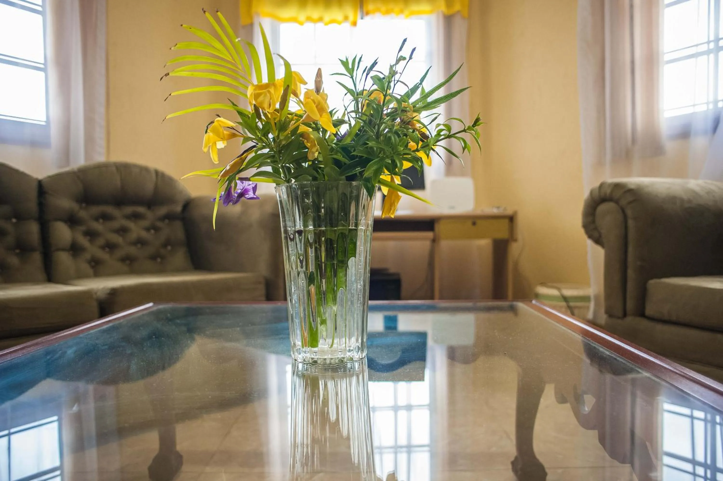 Area and facilities in Clarridge View Guesthouse