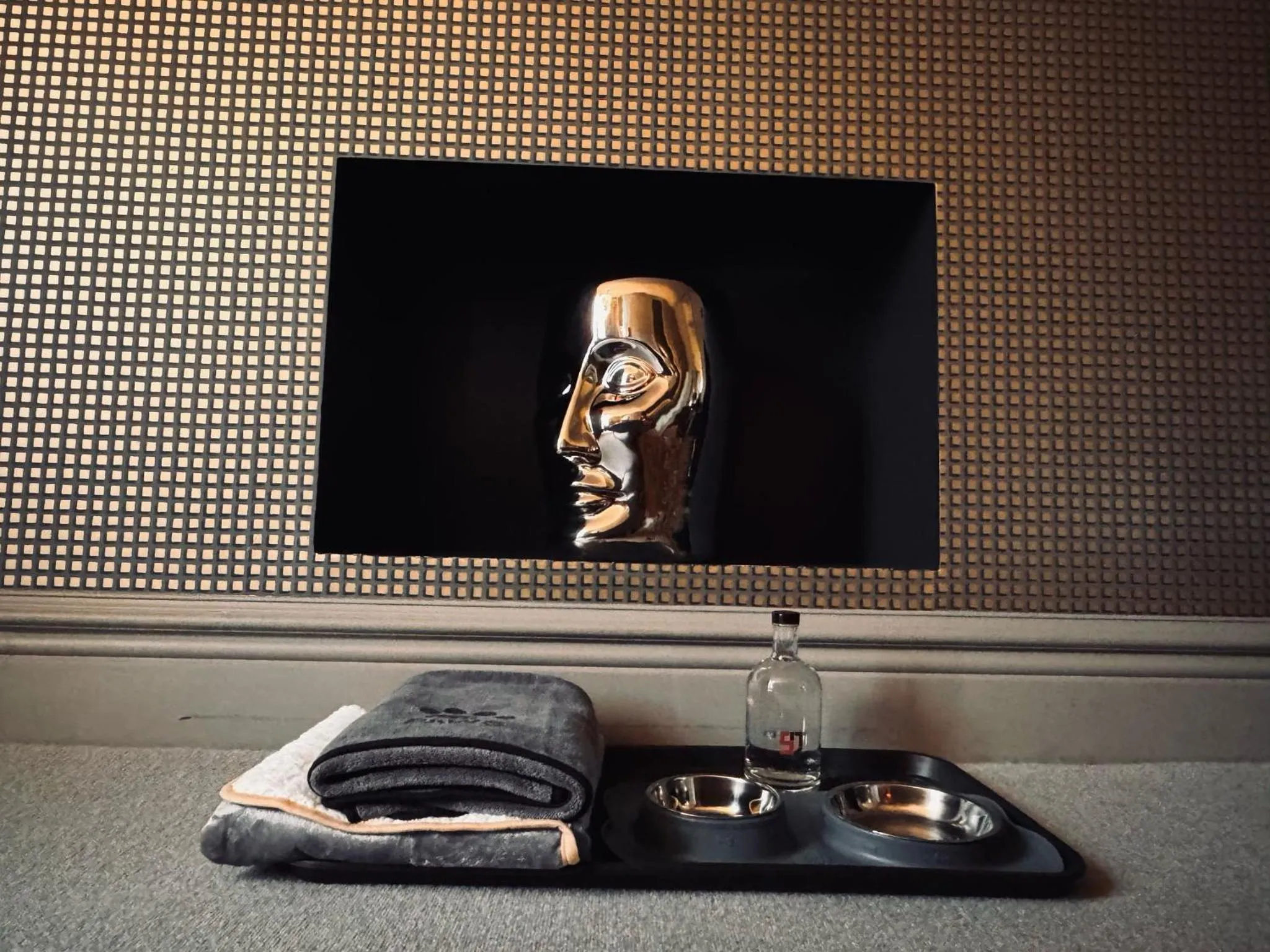 pet friendly in Square Townhouse