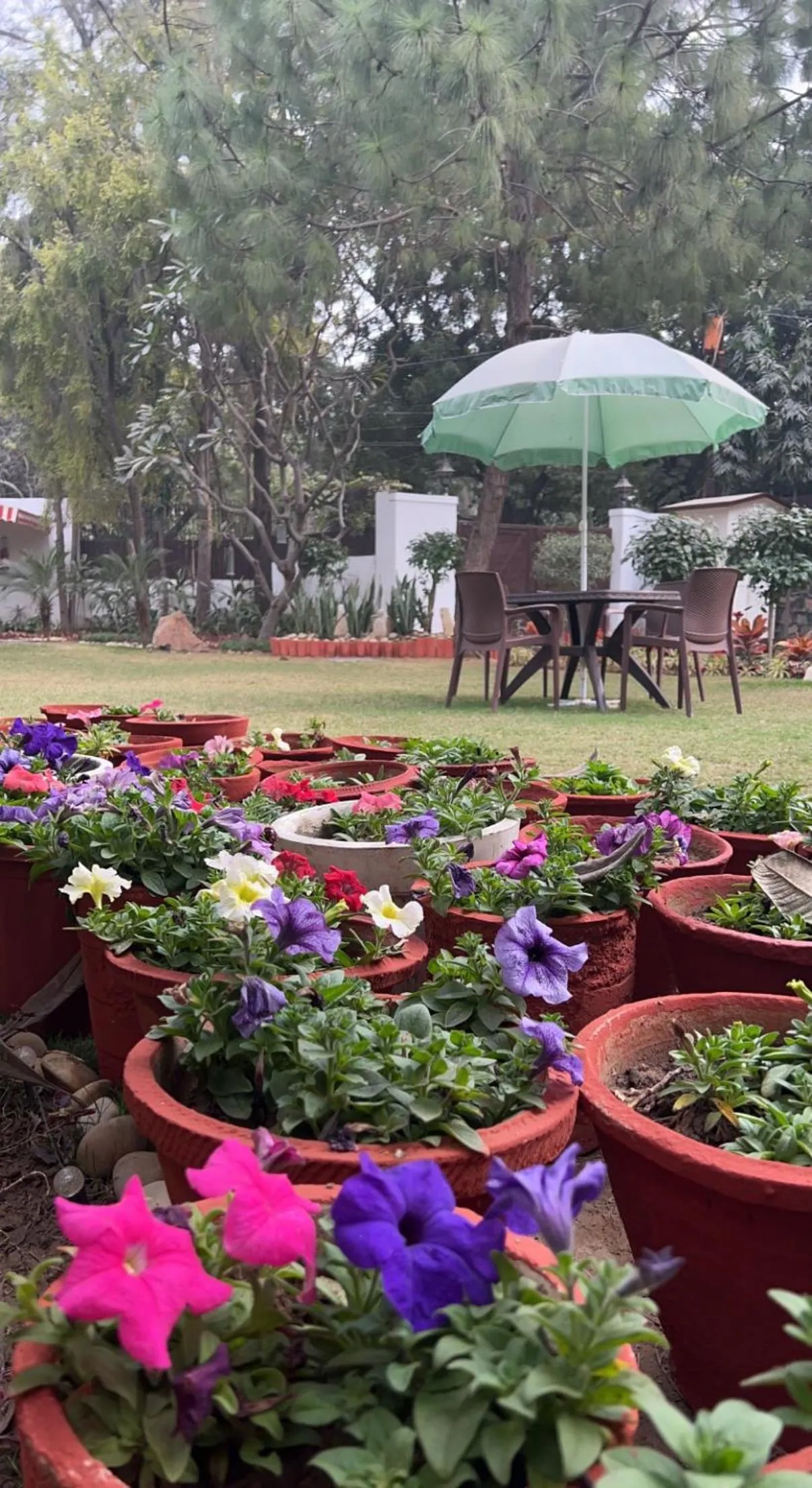 Spring in The Stay Inn New Delhi