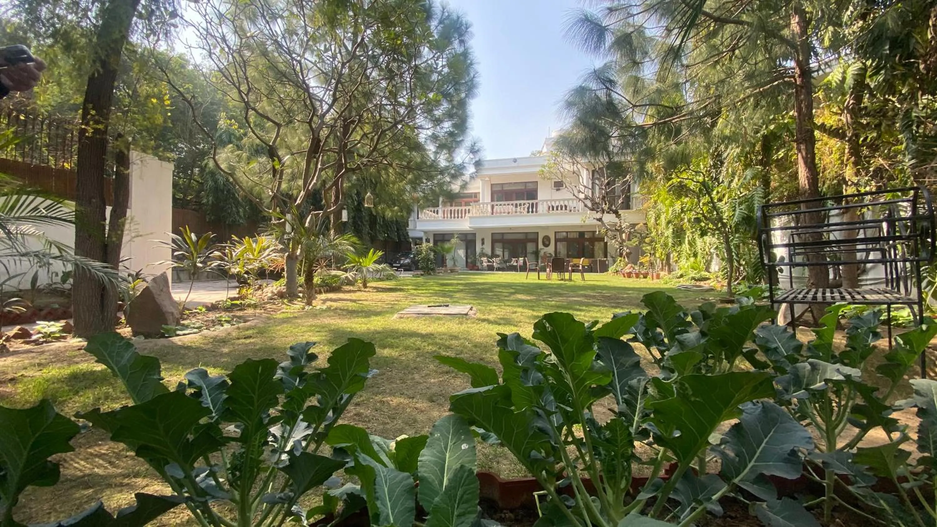 Garden view in The Stay Inn New Delhi