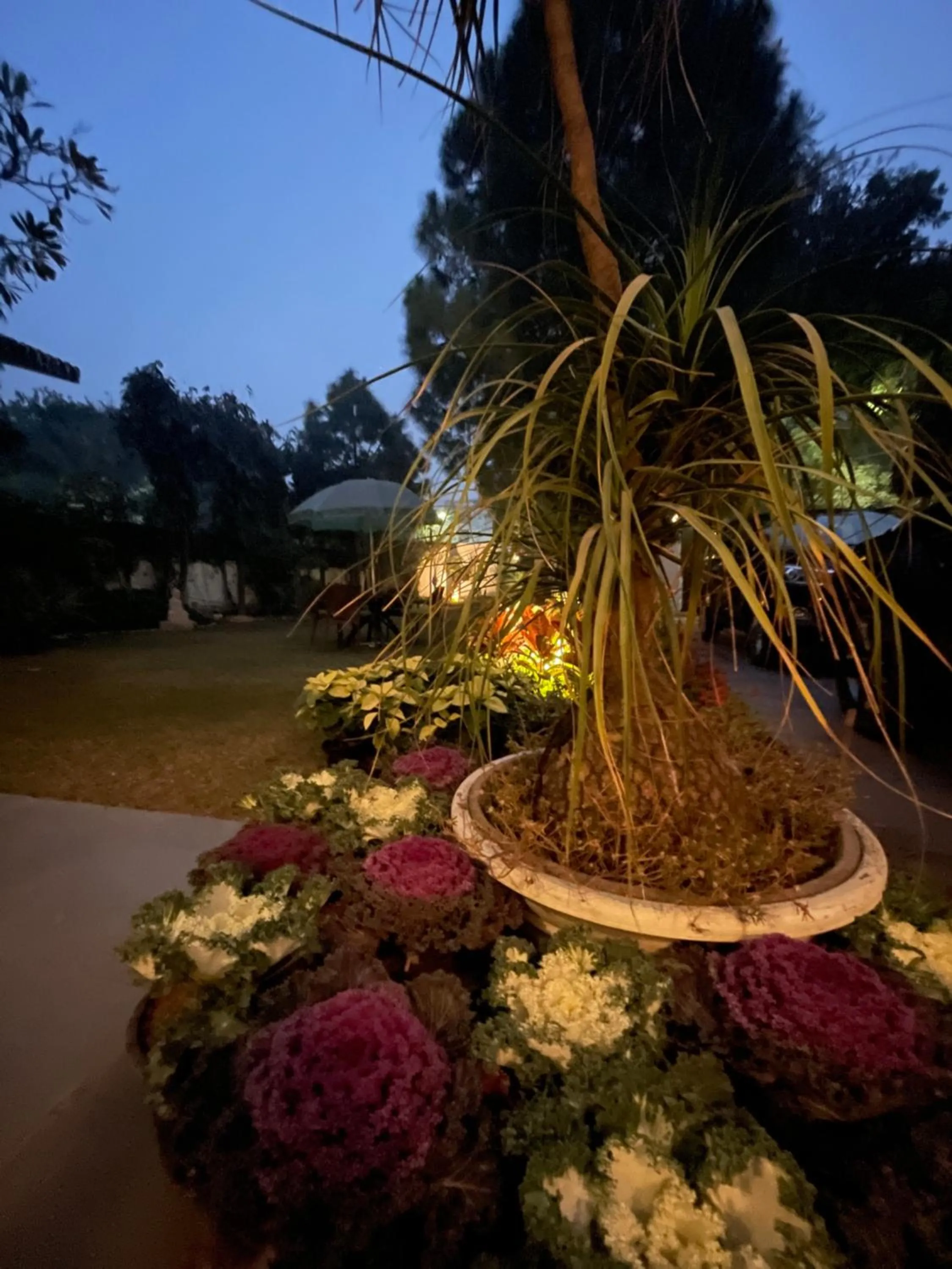 Night in The Stay Inn New Delhi