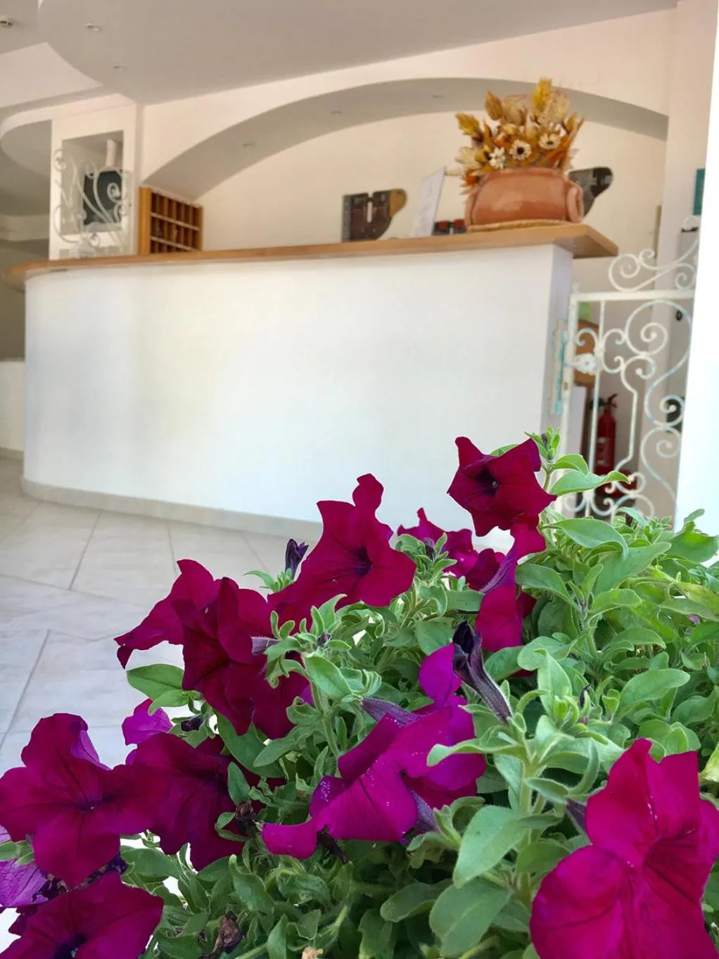 Hotel Porto Puddu - Il Nido dei Gabbiani