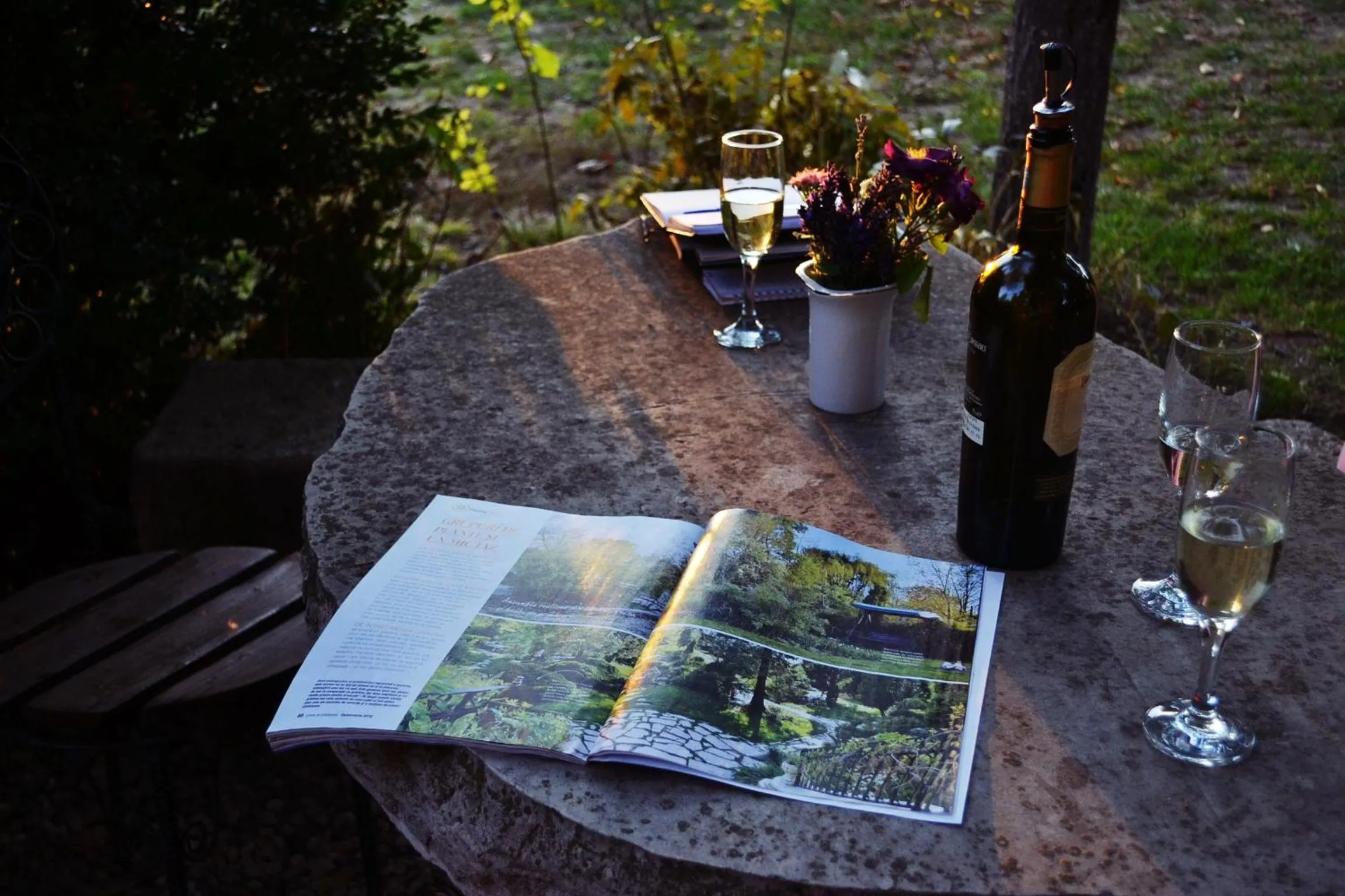 Garden in Villa Castelul Maria