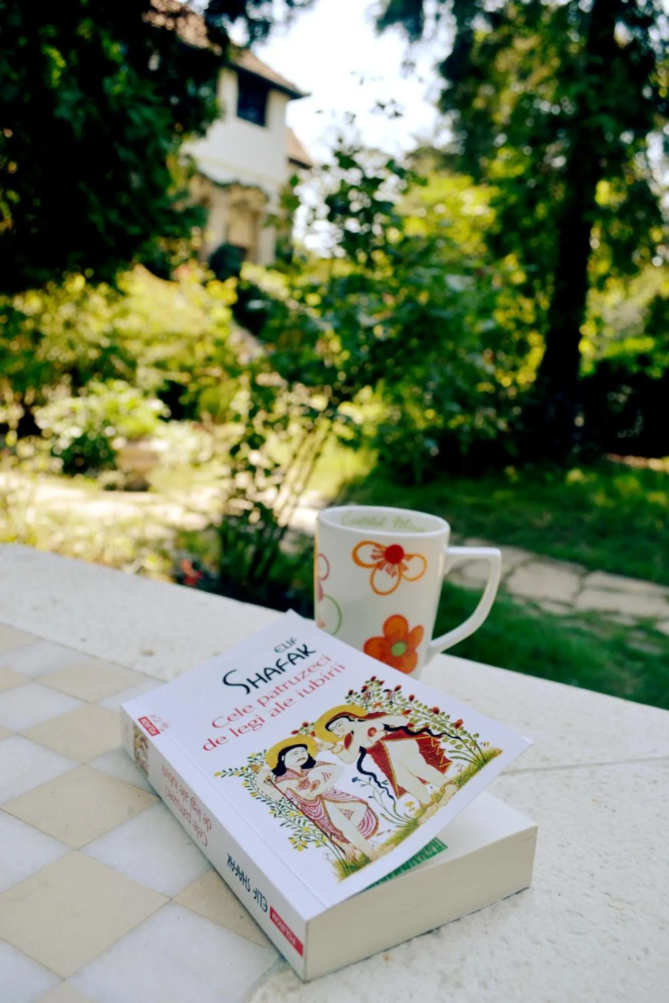 Garden in Villa Castelul Maria