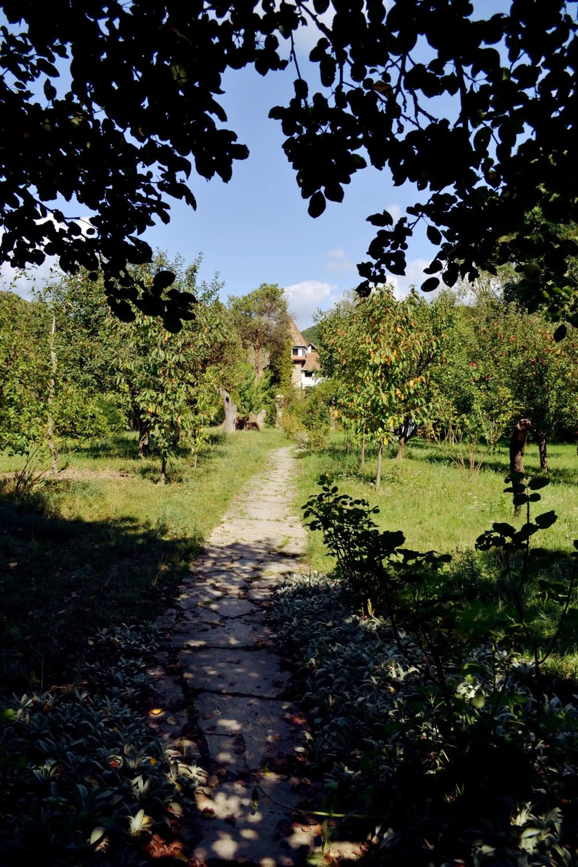 Day in Villa Castelul Maria