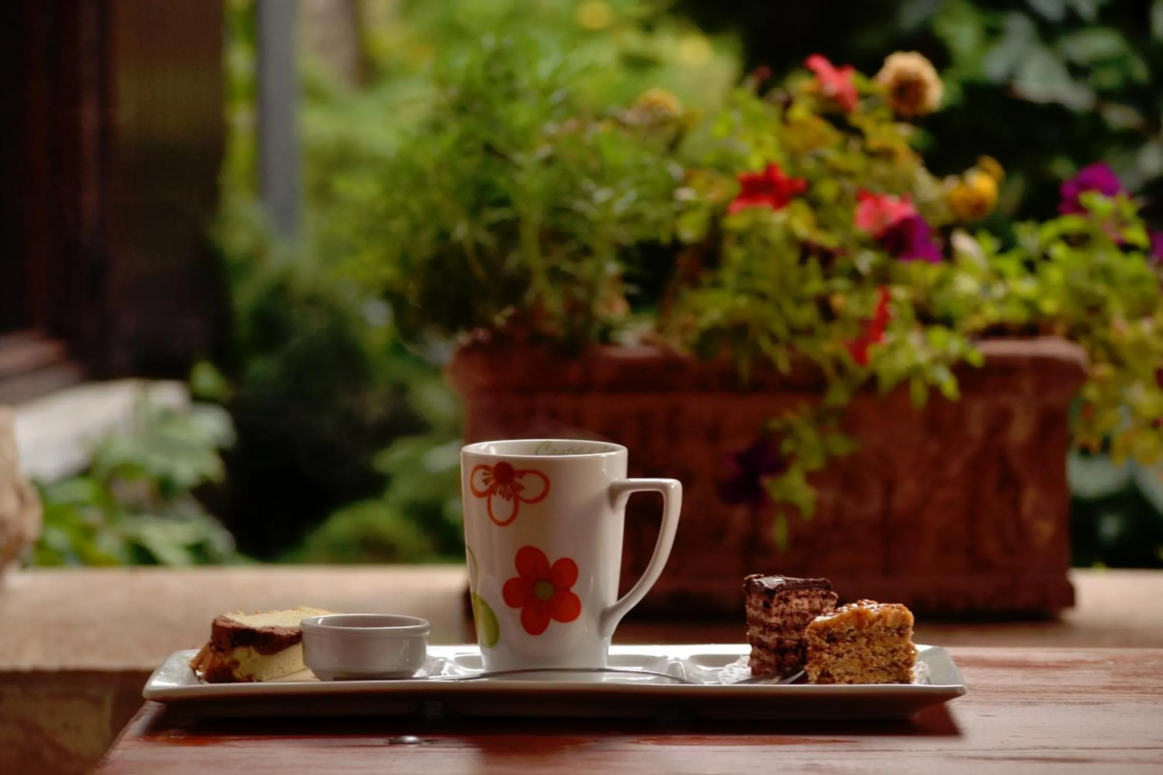 Restaurant/places to eat in Villa Castelul Maria