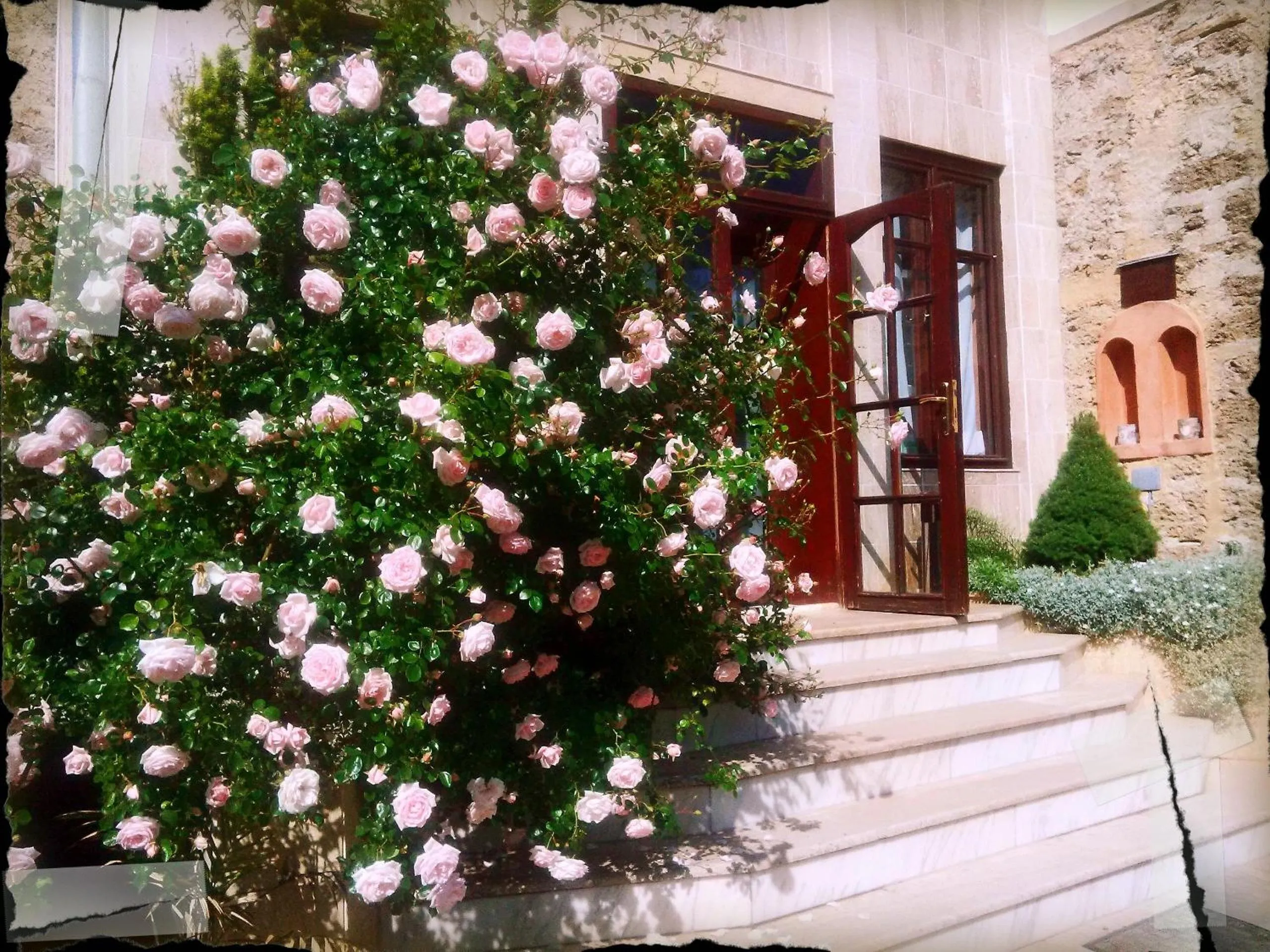 Facade/entrance in Villa Castelul Maria