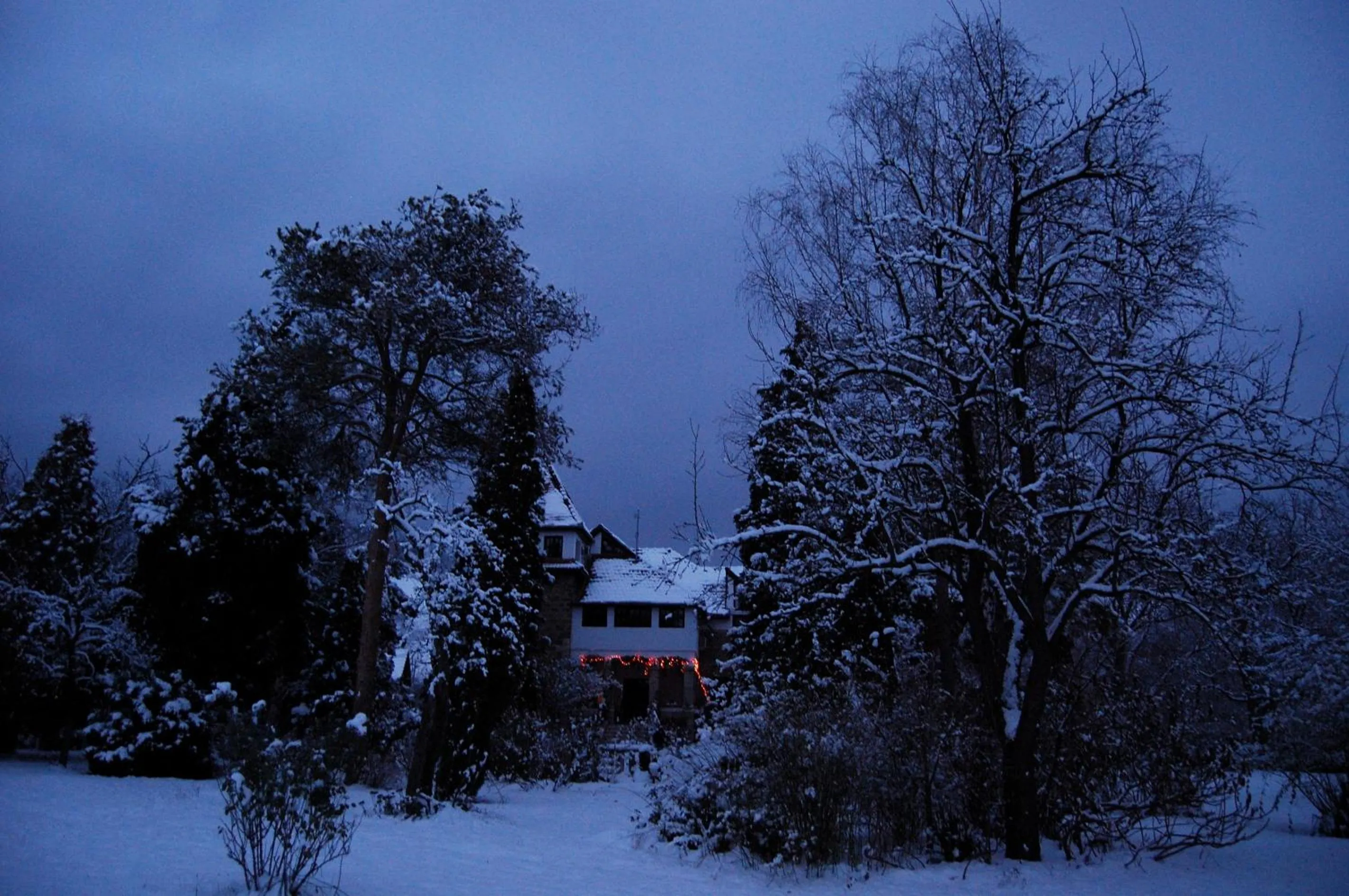 Winter in Villa Castelul Maria
