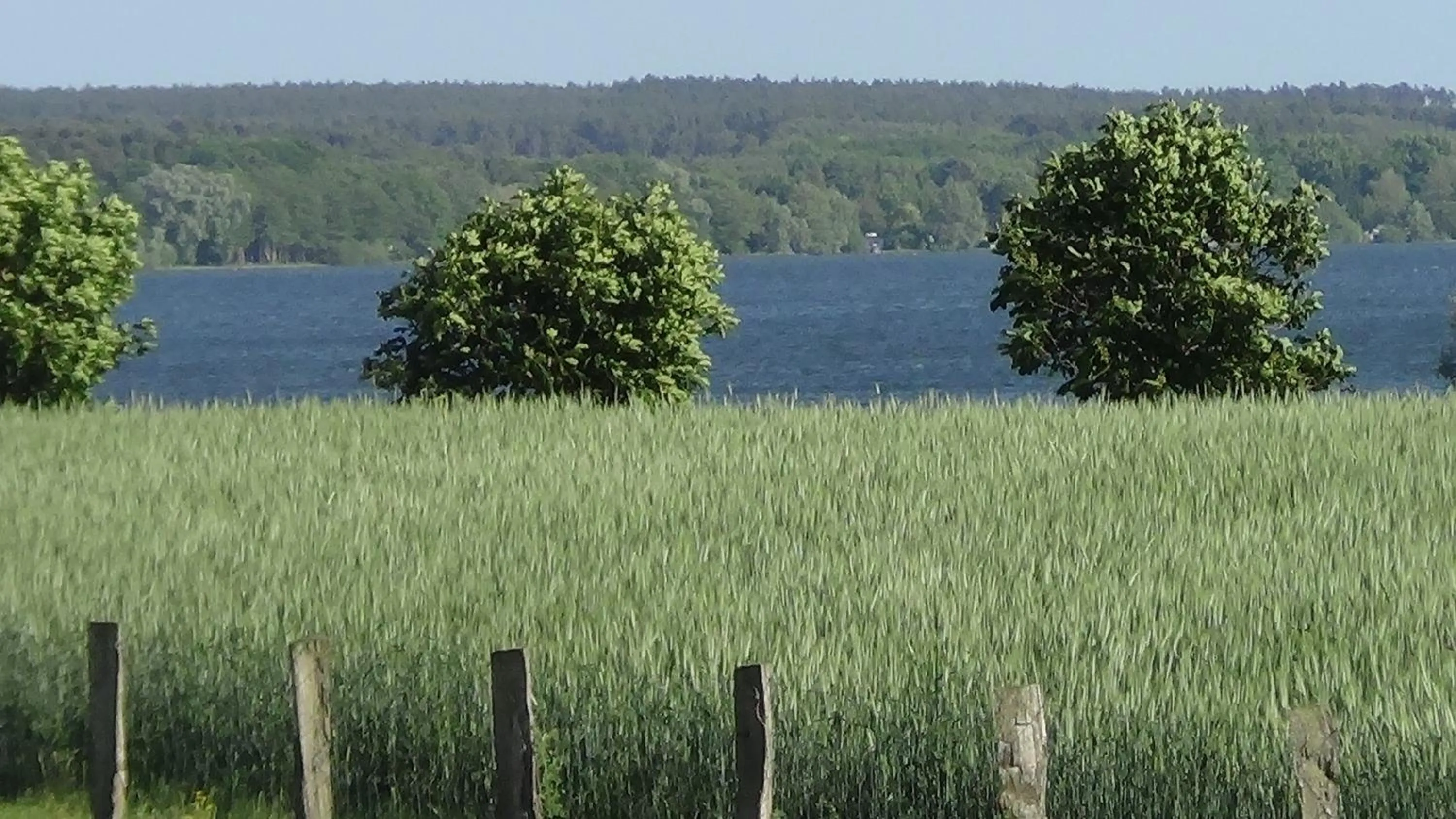 Property building in Hotel Marianne und Restaurant Kiek In