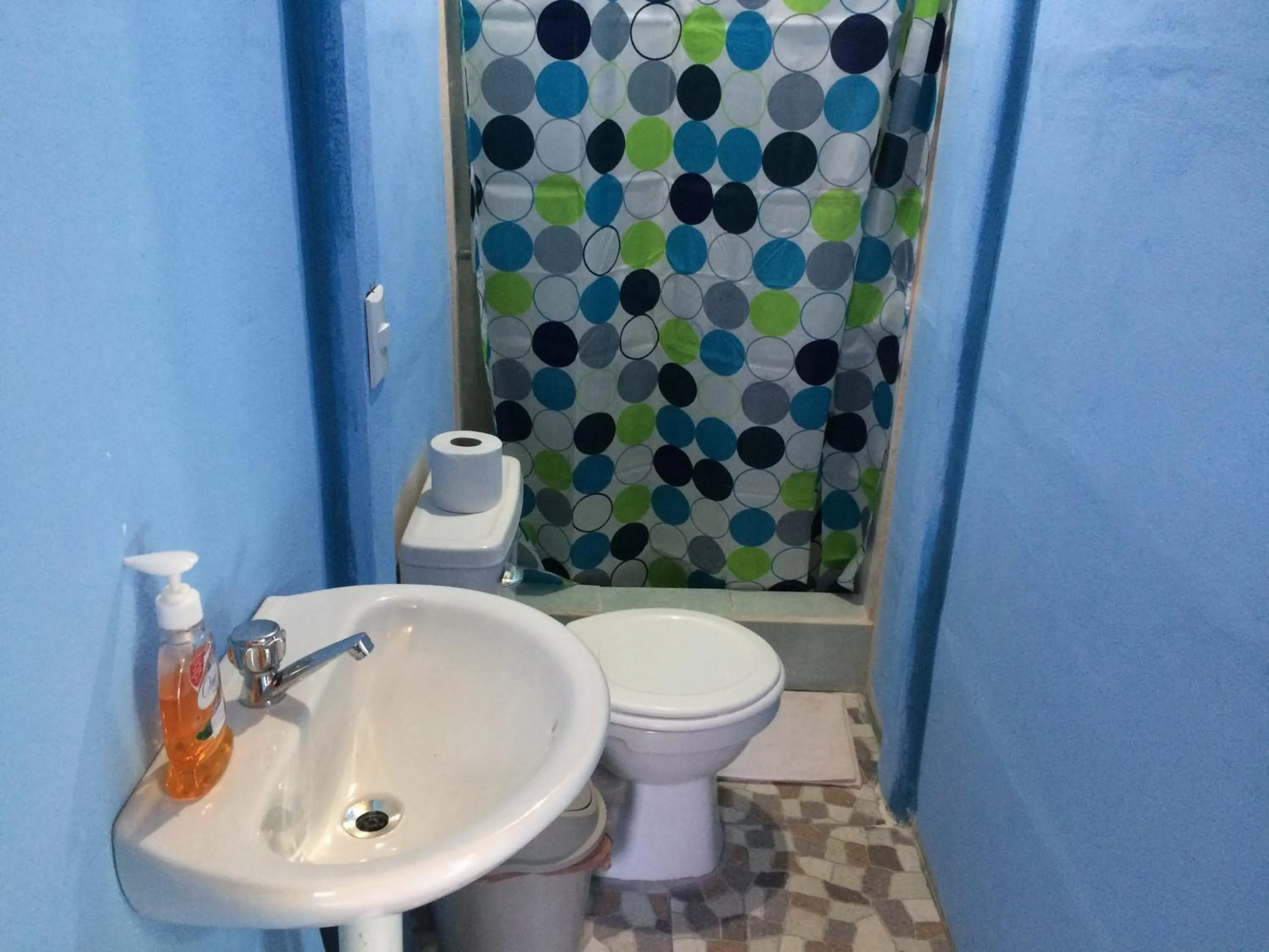 Green Macaw Hostel