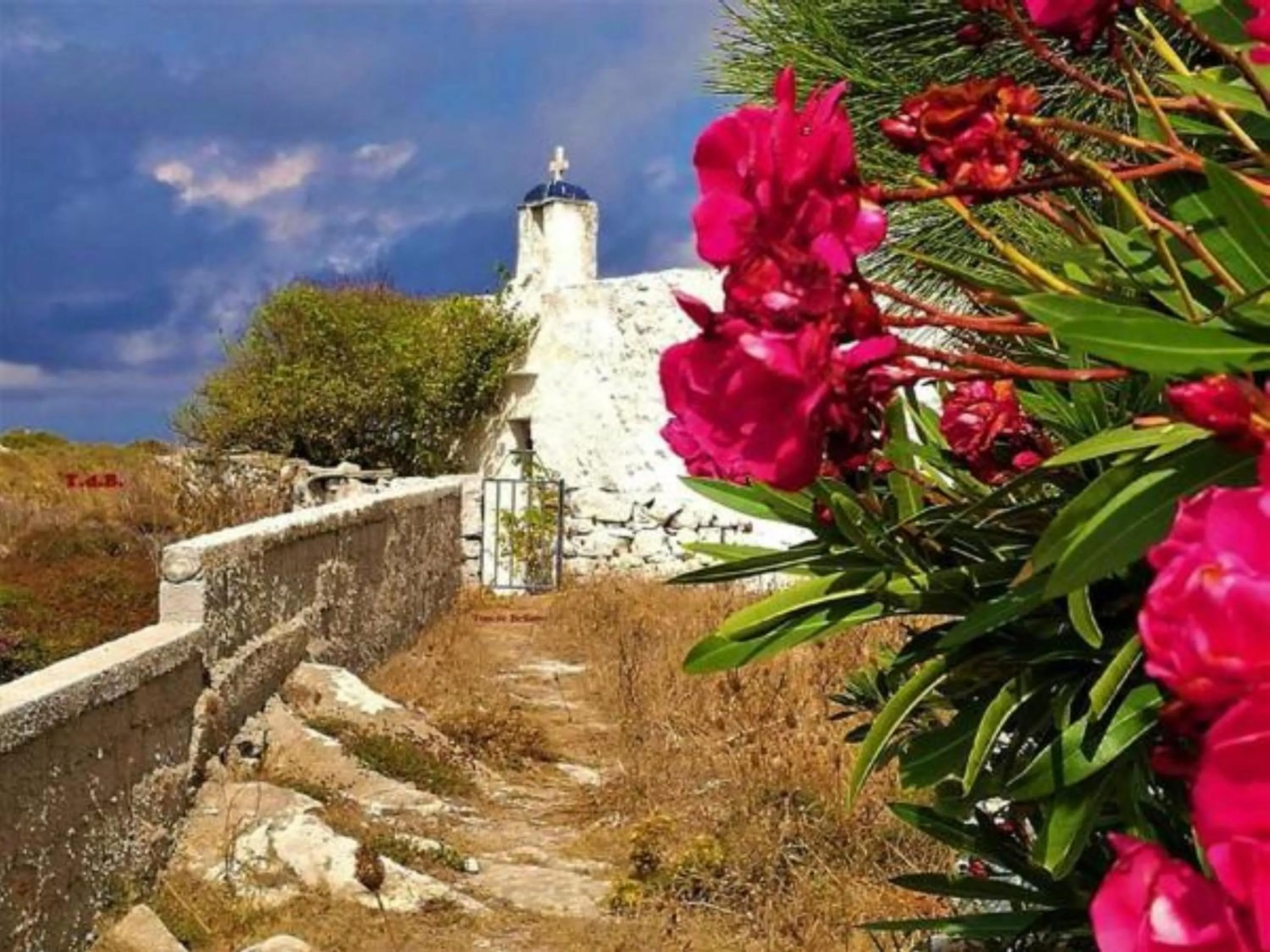 Tinos Suites & Apartments