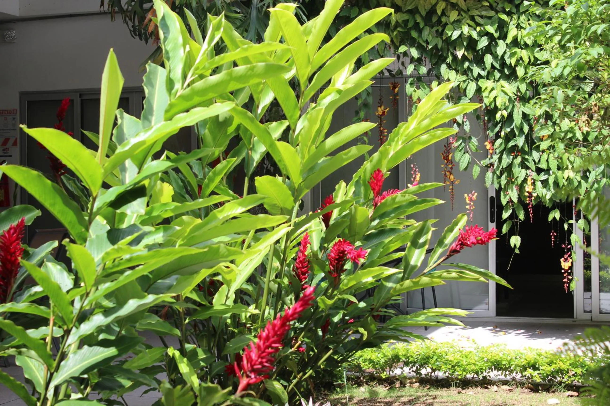 Cando Living Apartments in Central Avenue