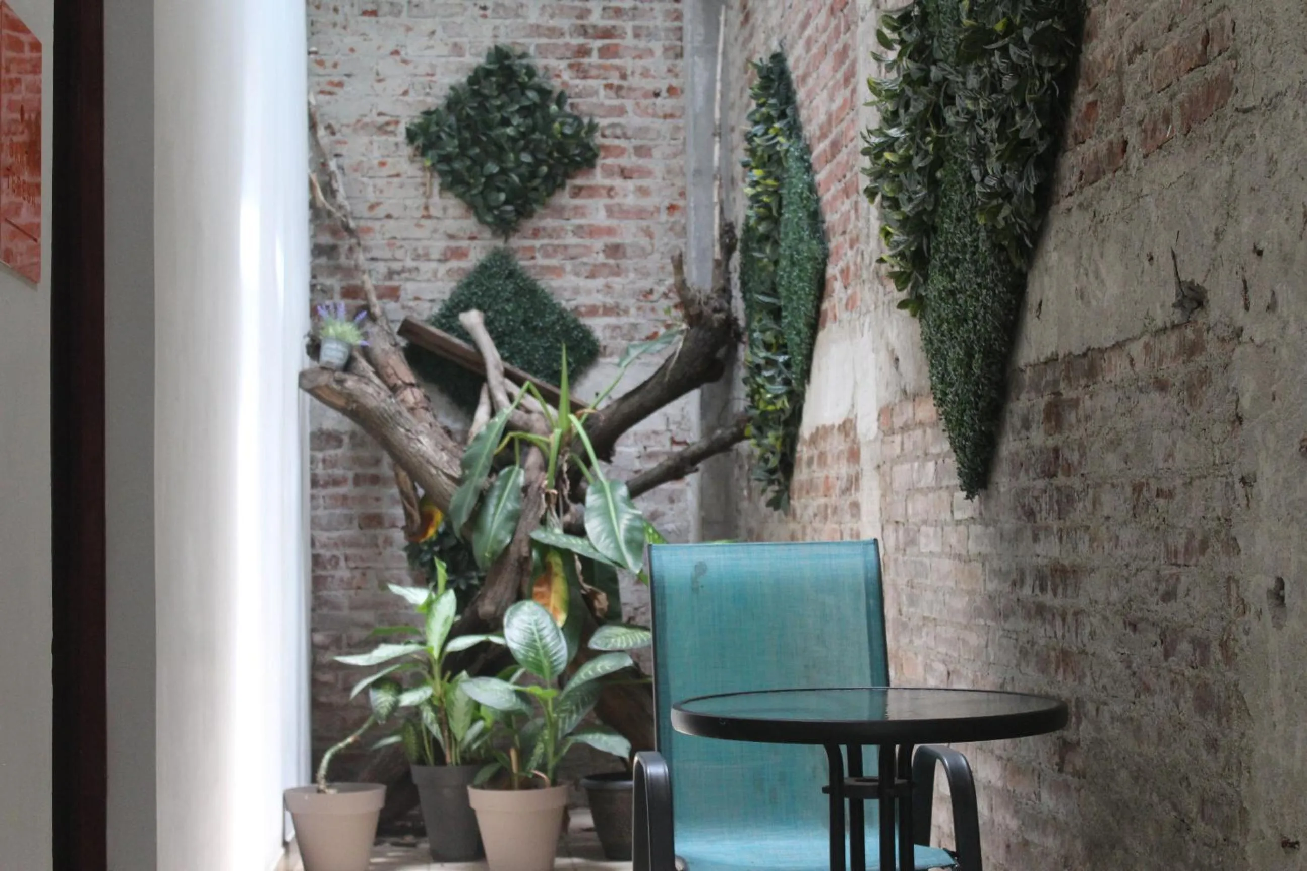 Cando Living Apartments in Central Avenue