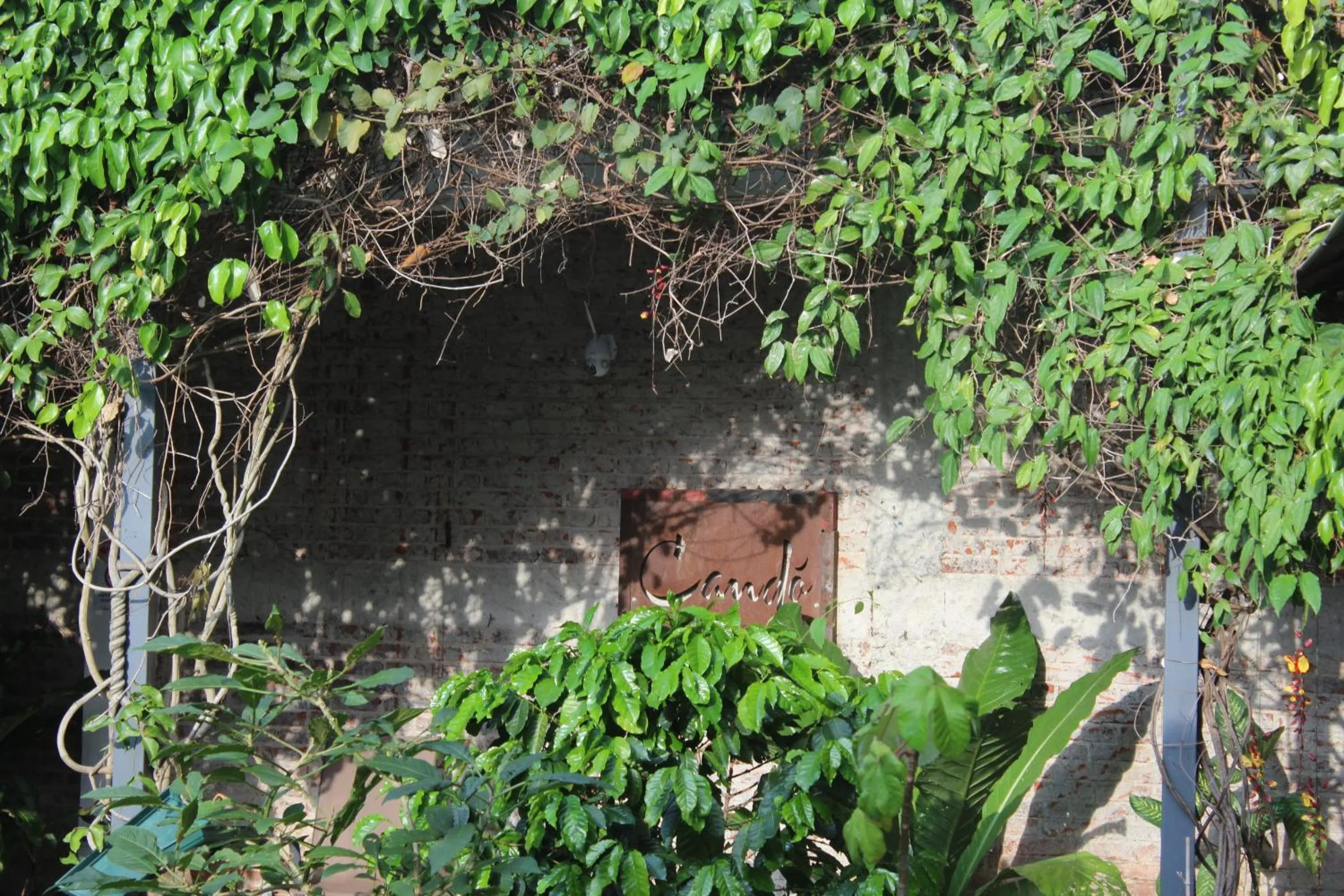 Cando Living Apartments in Central Avenue