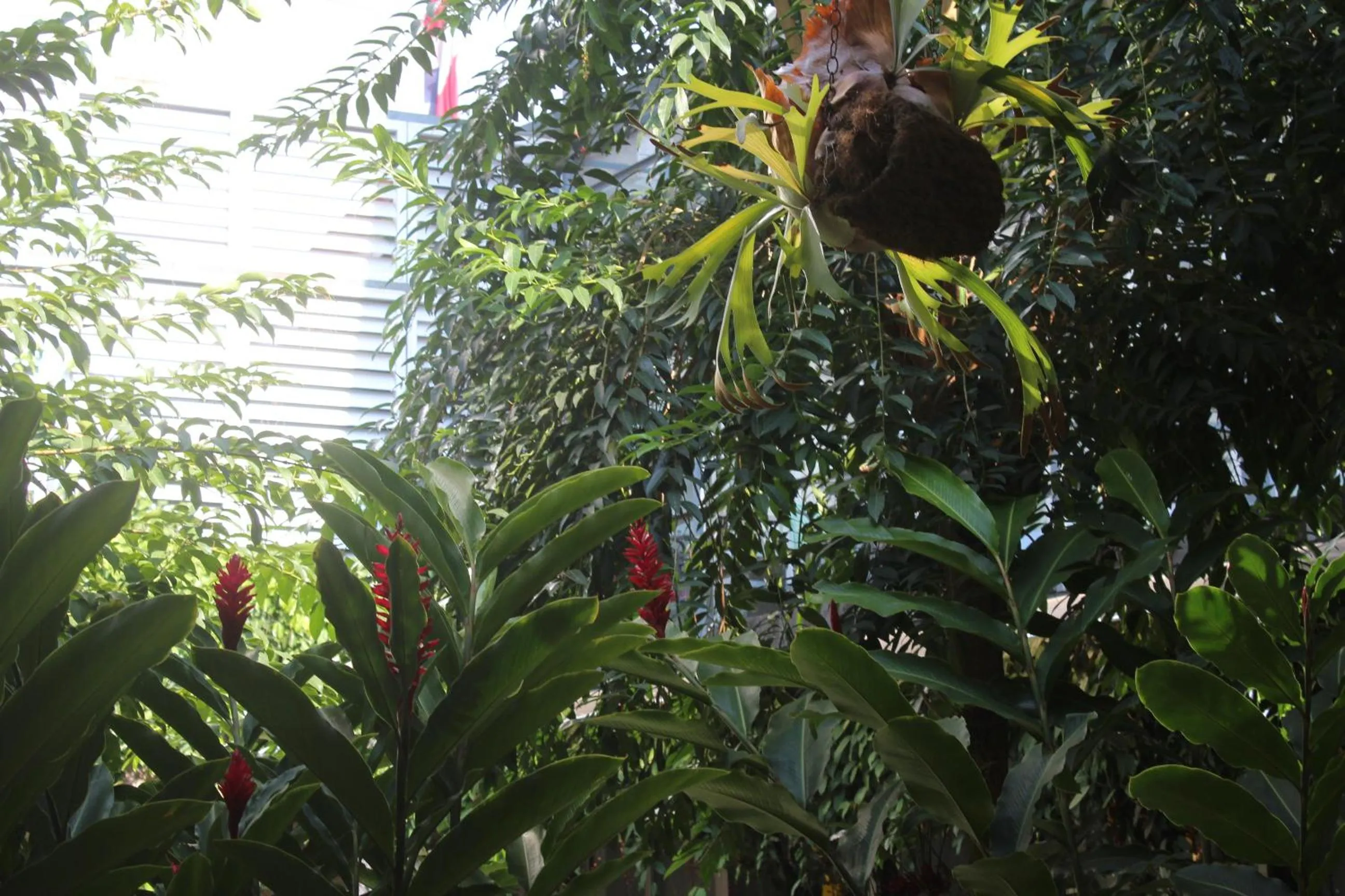 Cando Living Apartments in Central Avenue