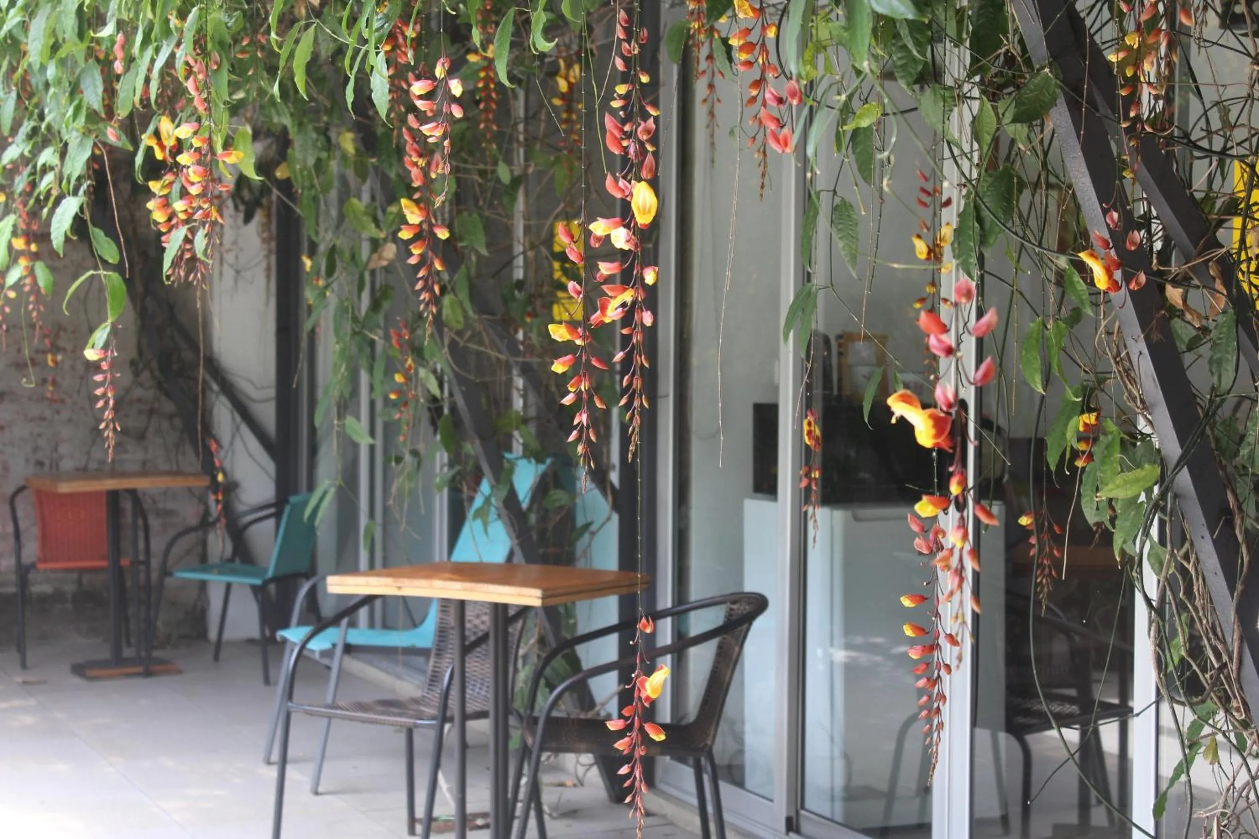 Cando Living Apartments in Central Avenue