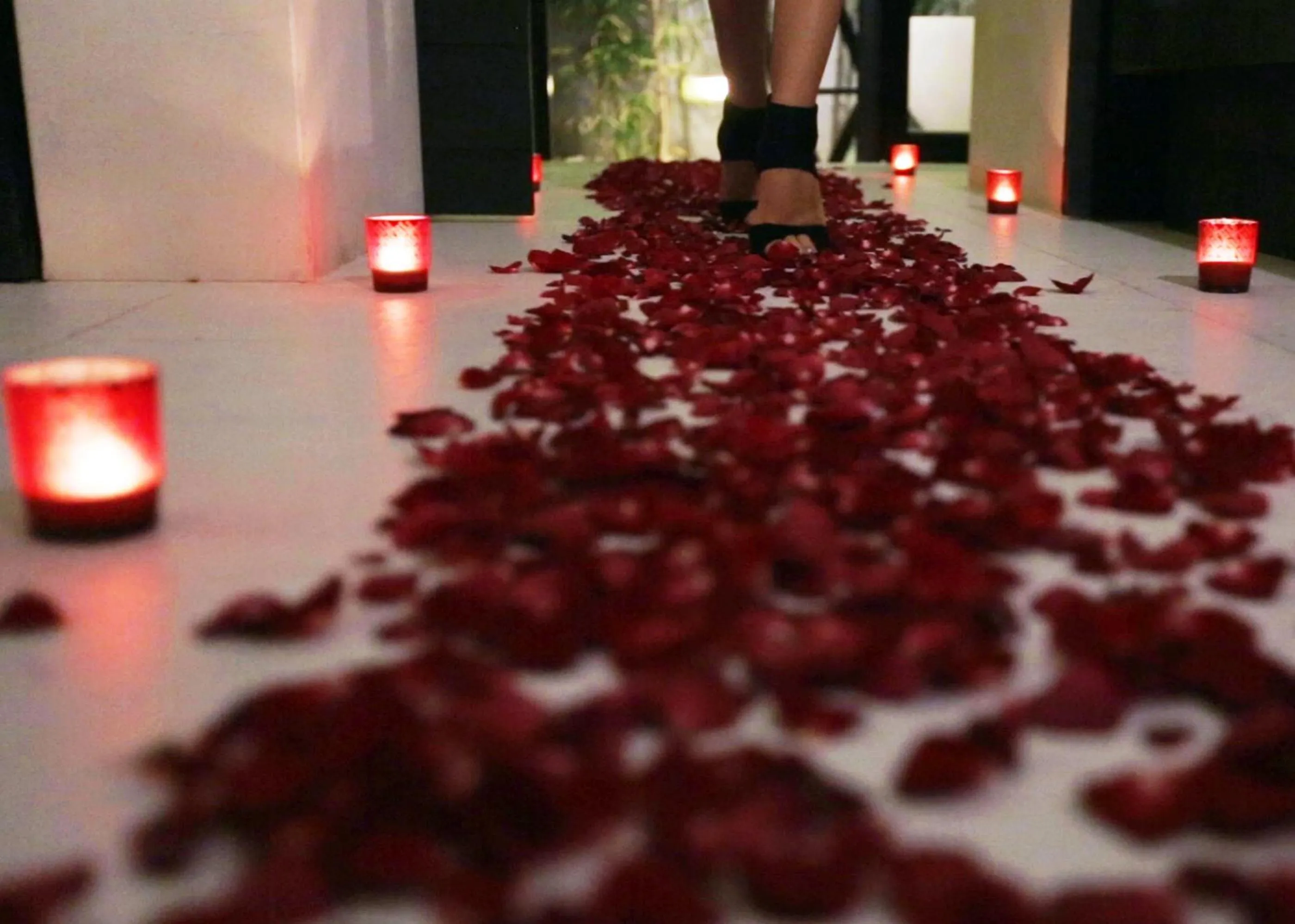 Entertainment in eqUILIBRIA Seminyak