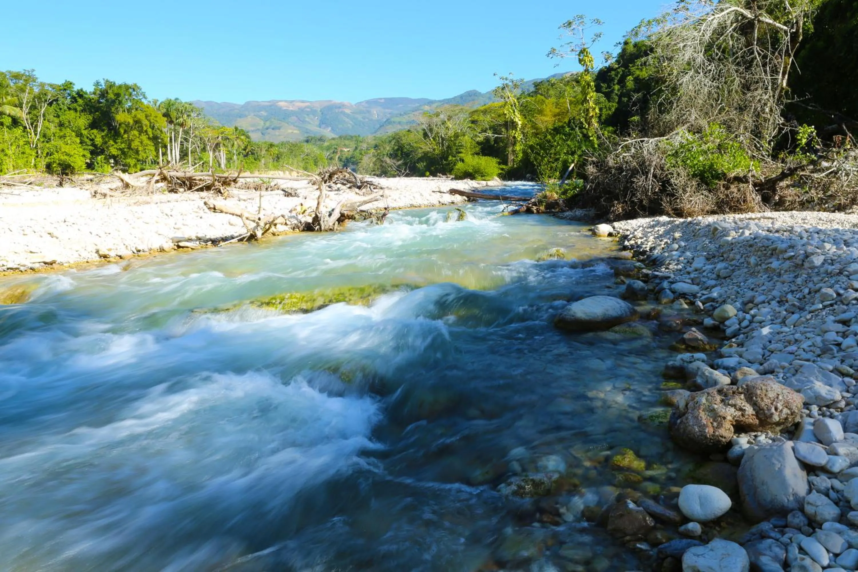 Lake view in Platon Ecolodge