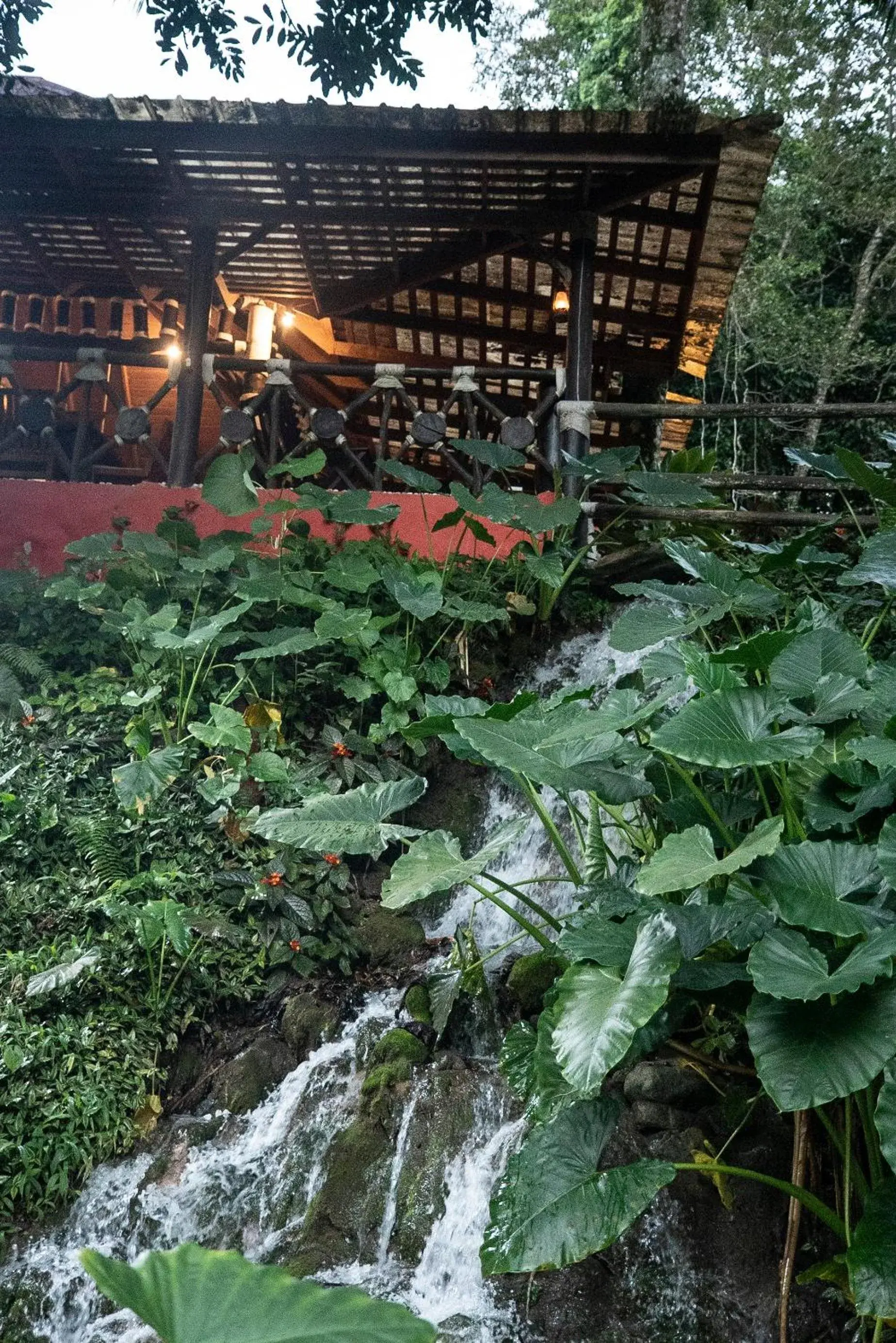 Restaurant/places to eat in Platon Ecolodge Restaurant/places to eat in Platon Ecolodge