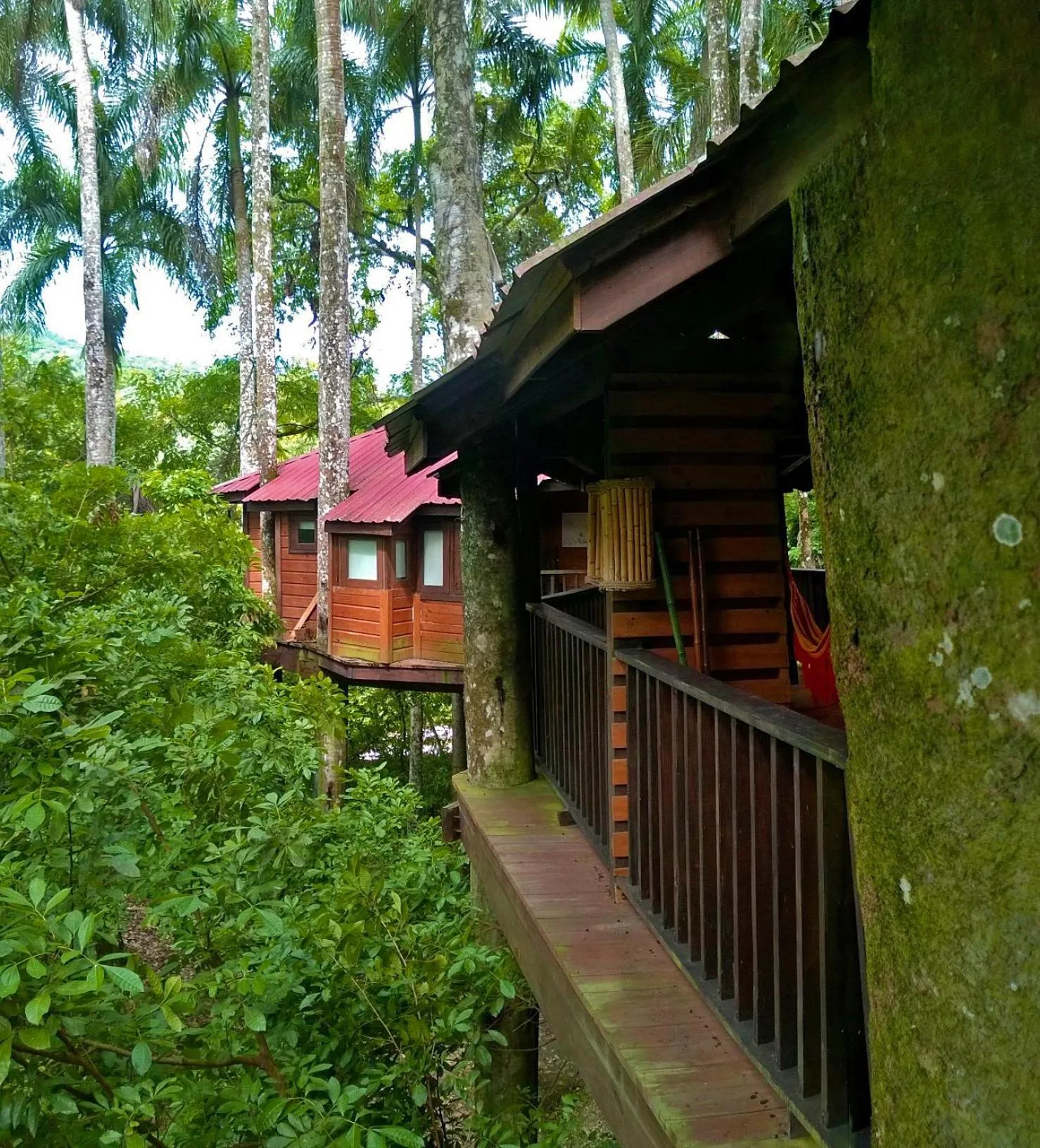 Property building in Platon Ecolodge