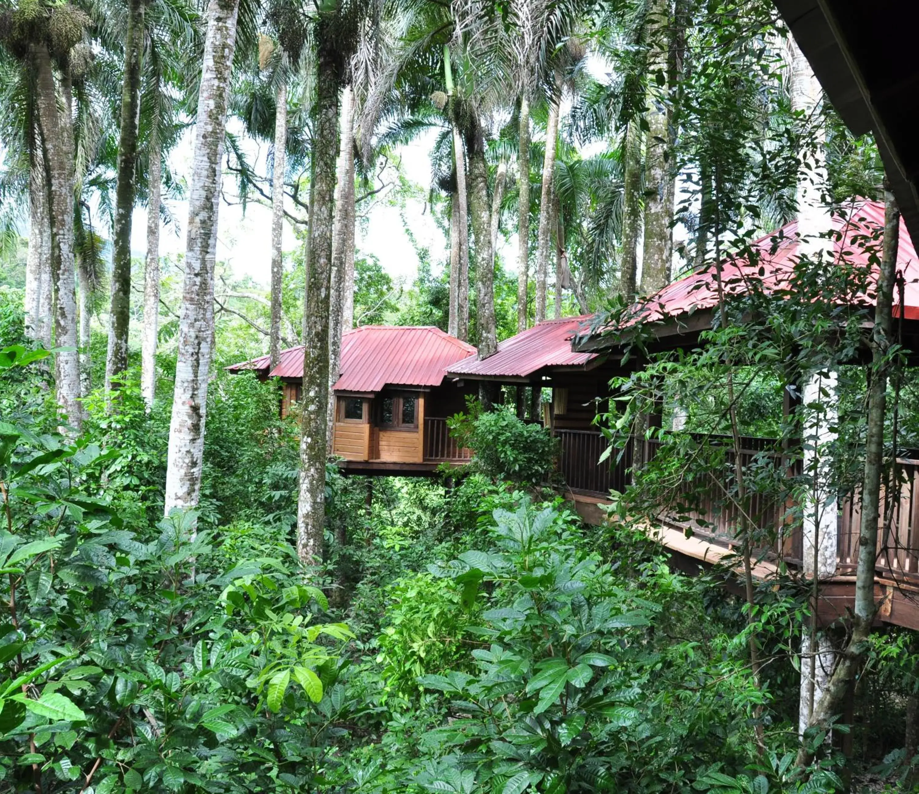 Property building in Platon Ecolodge Property building in Platon Ecolodge