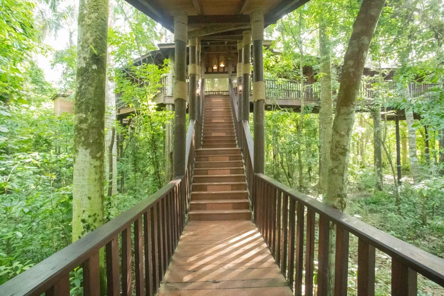 Property building in Platon Ecolodge