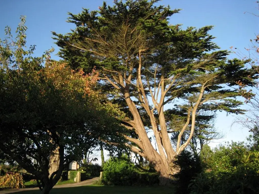 Property building in Trelawne Hotel Property building in Trelawne Hotel