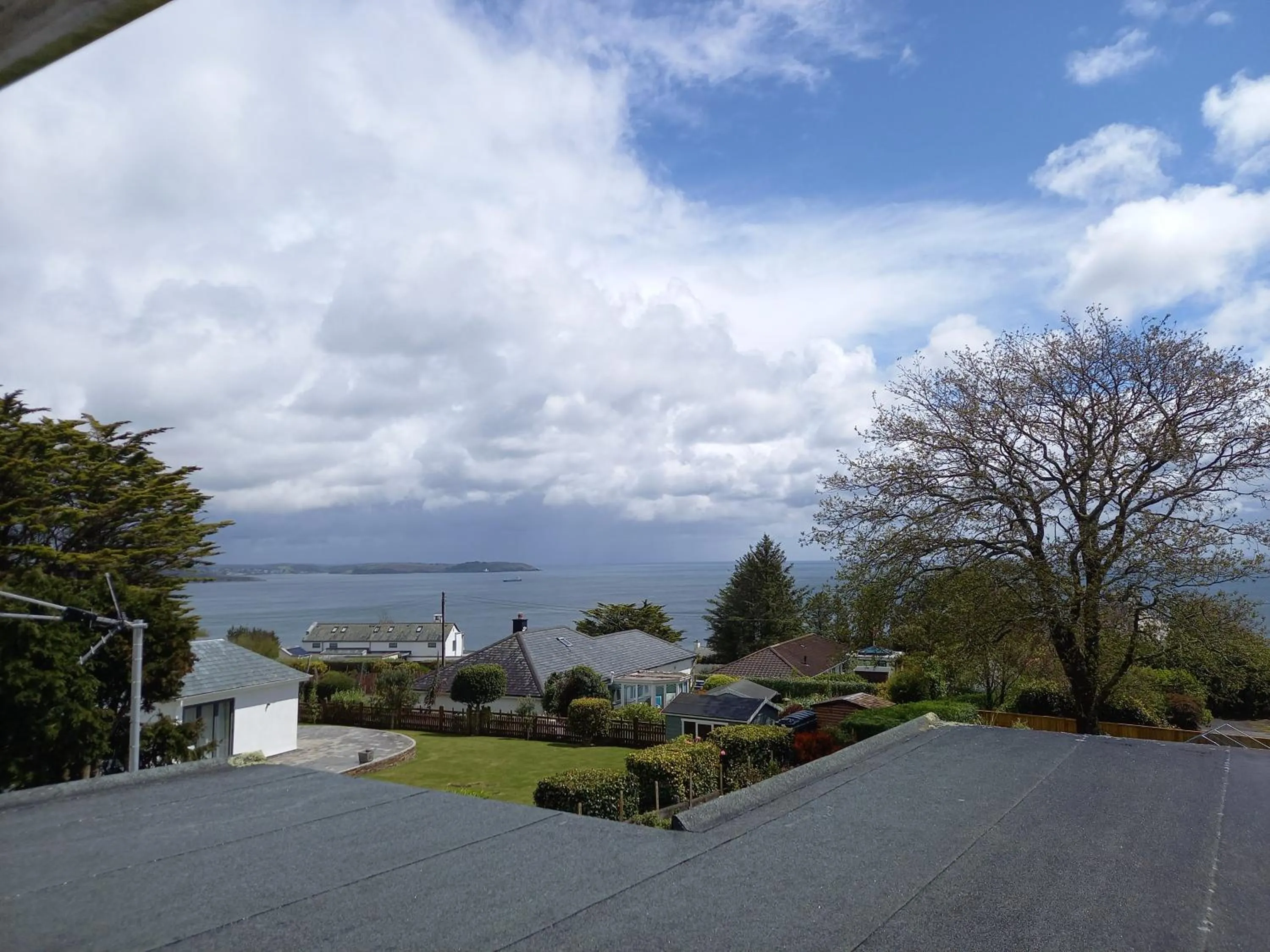 View (from property/room) in Trelawne Hotel