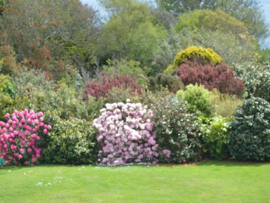 Other in Trelawne Hotel