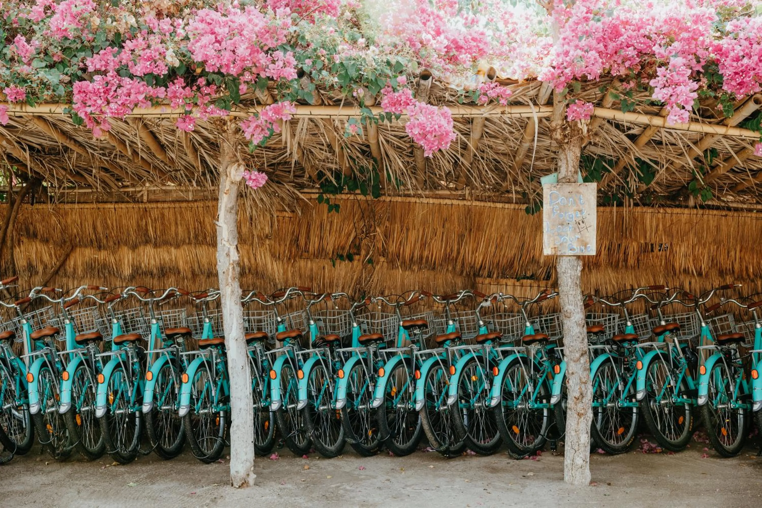 Garden in Coco Lemon Gili Resort
