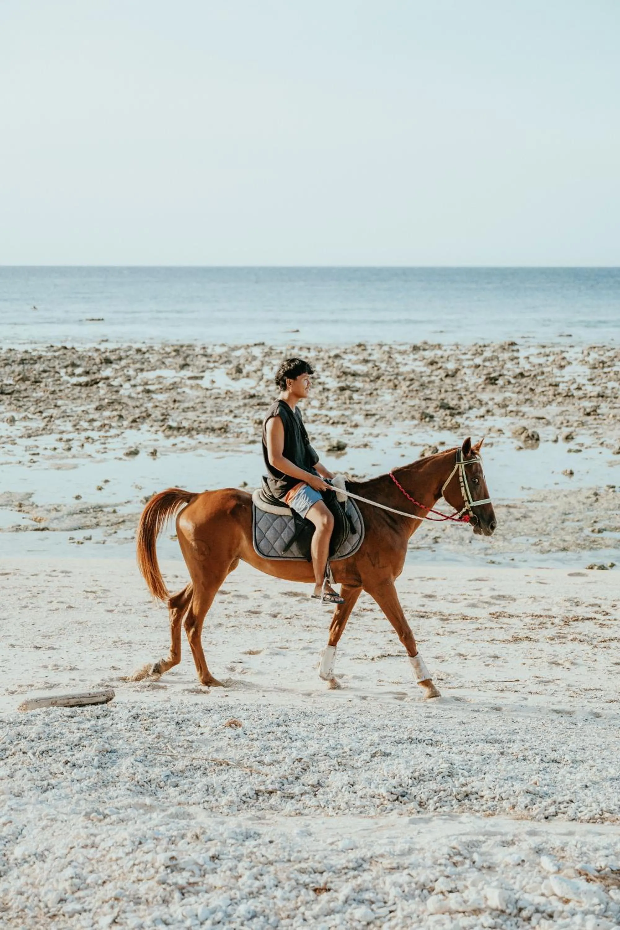 Day in Coco Lemon Gili Resort