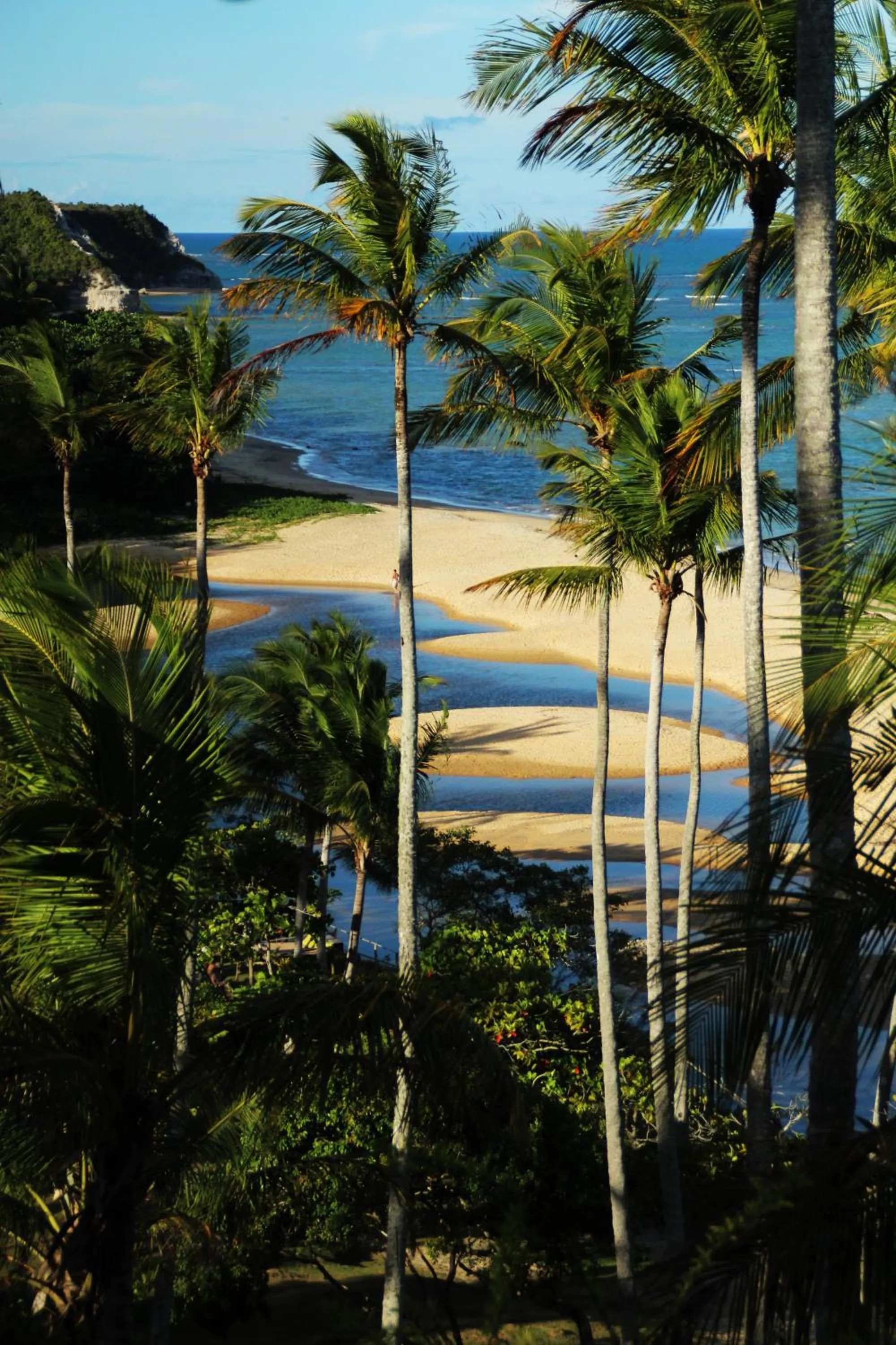 Natural landscape in Hotel Calá & Divino