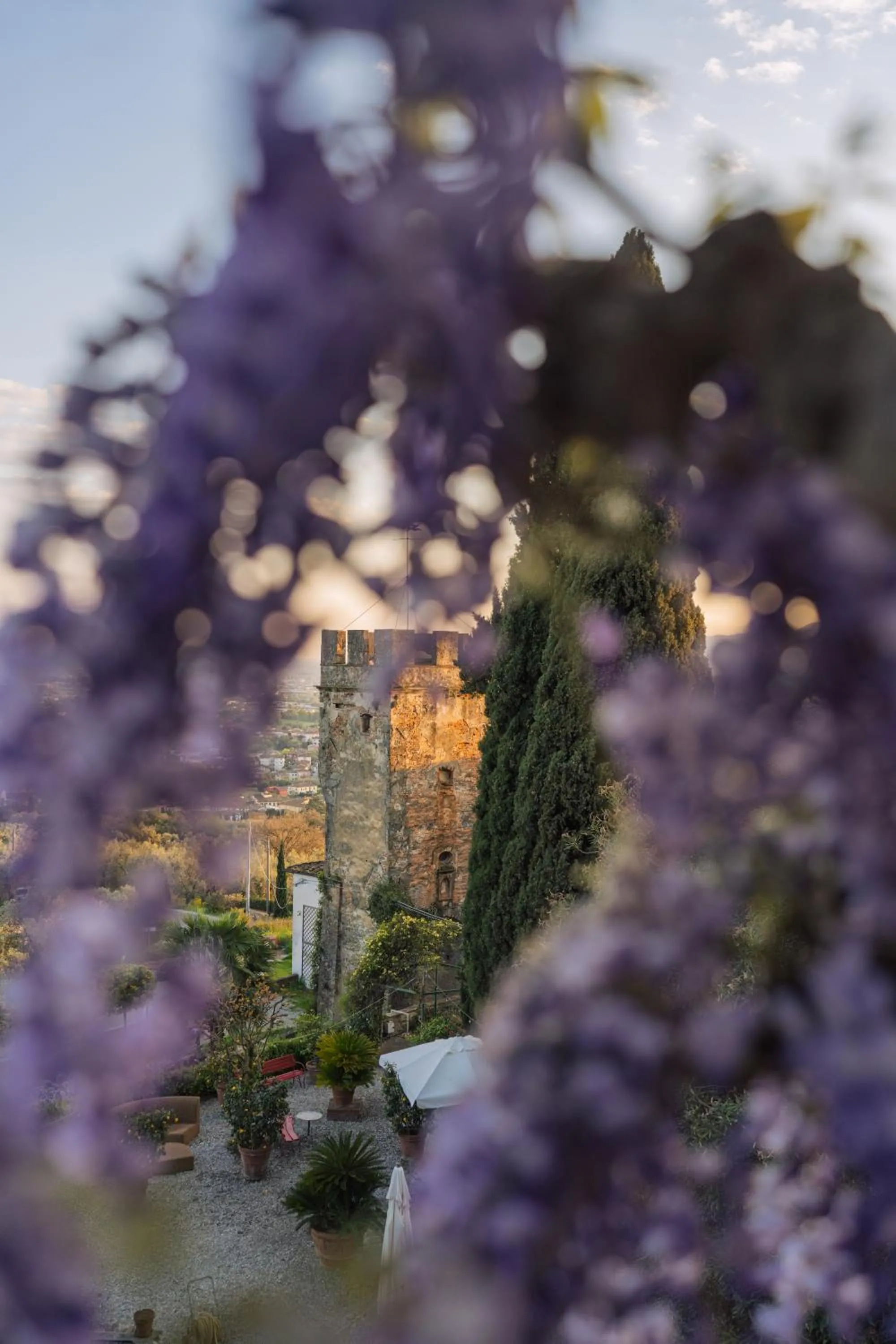 Garden view in Hotel Villa Sermolli