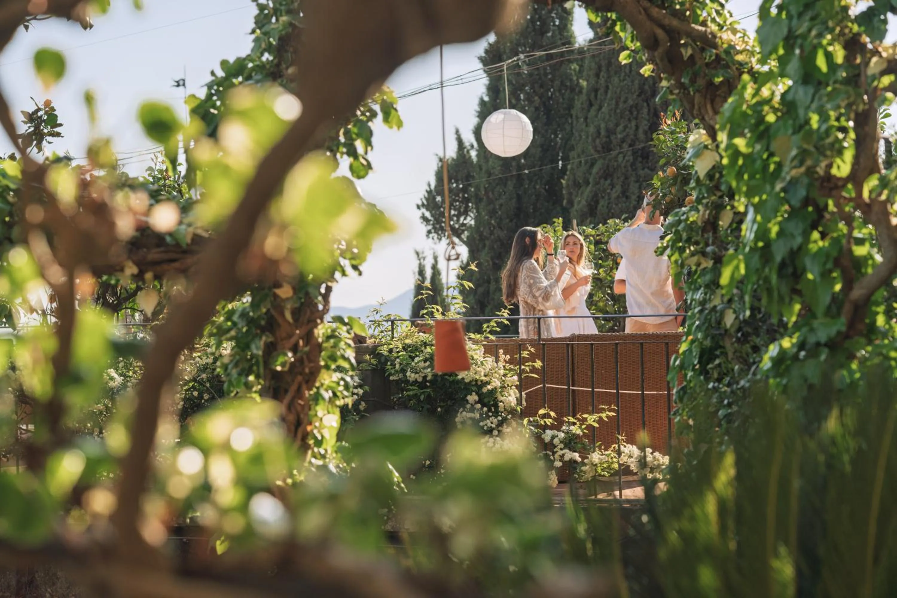 Garden view in Hotel Villa Sermolli