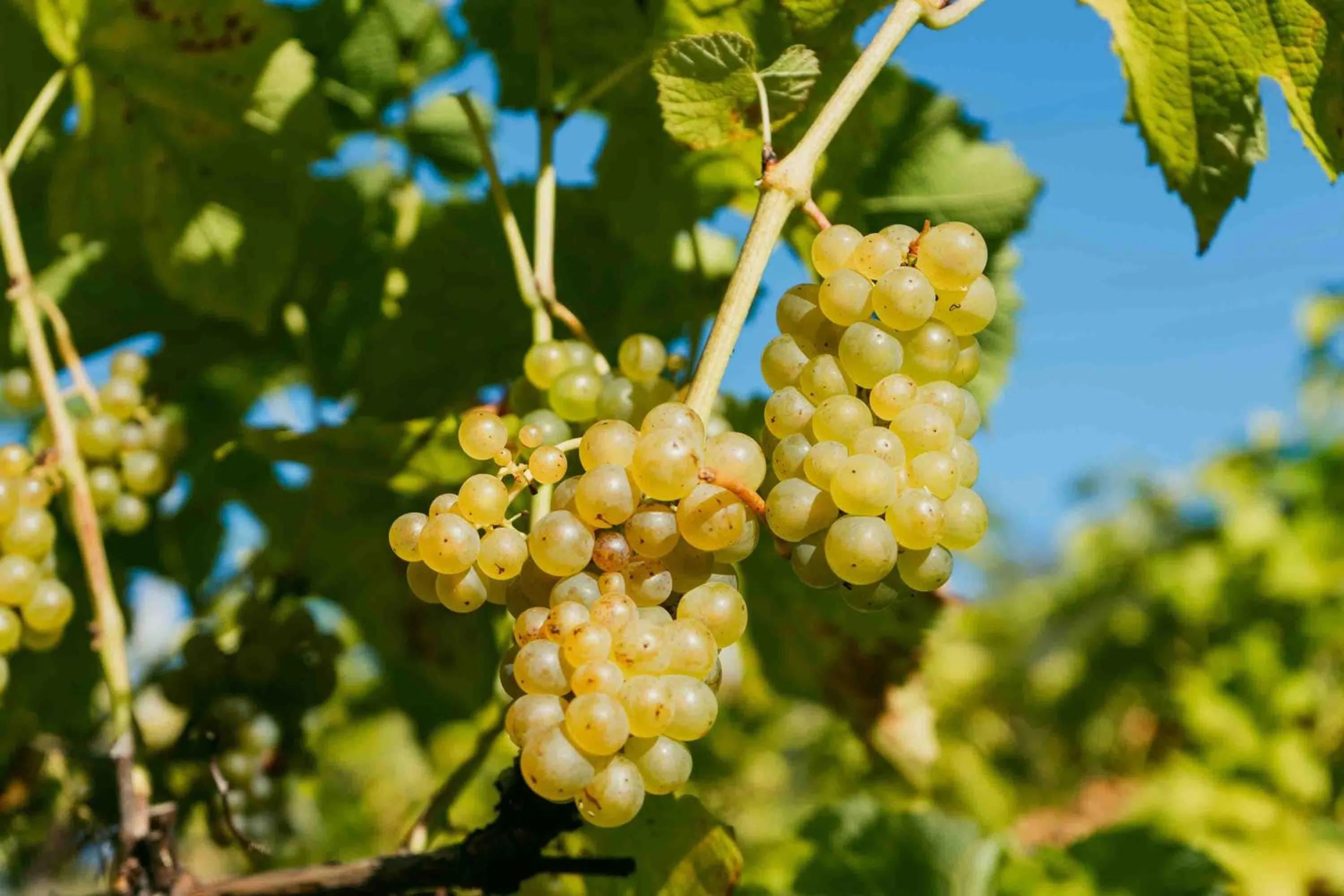 Day in Thorbjørnrud Hotell