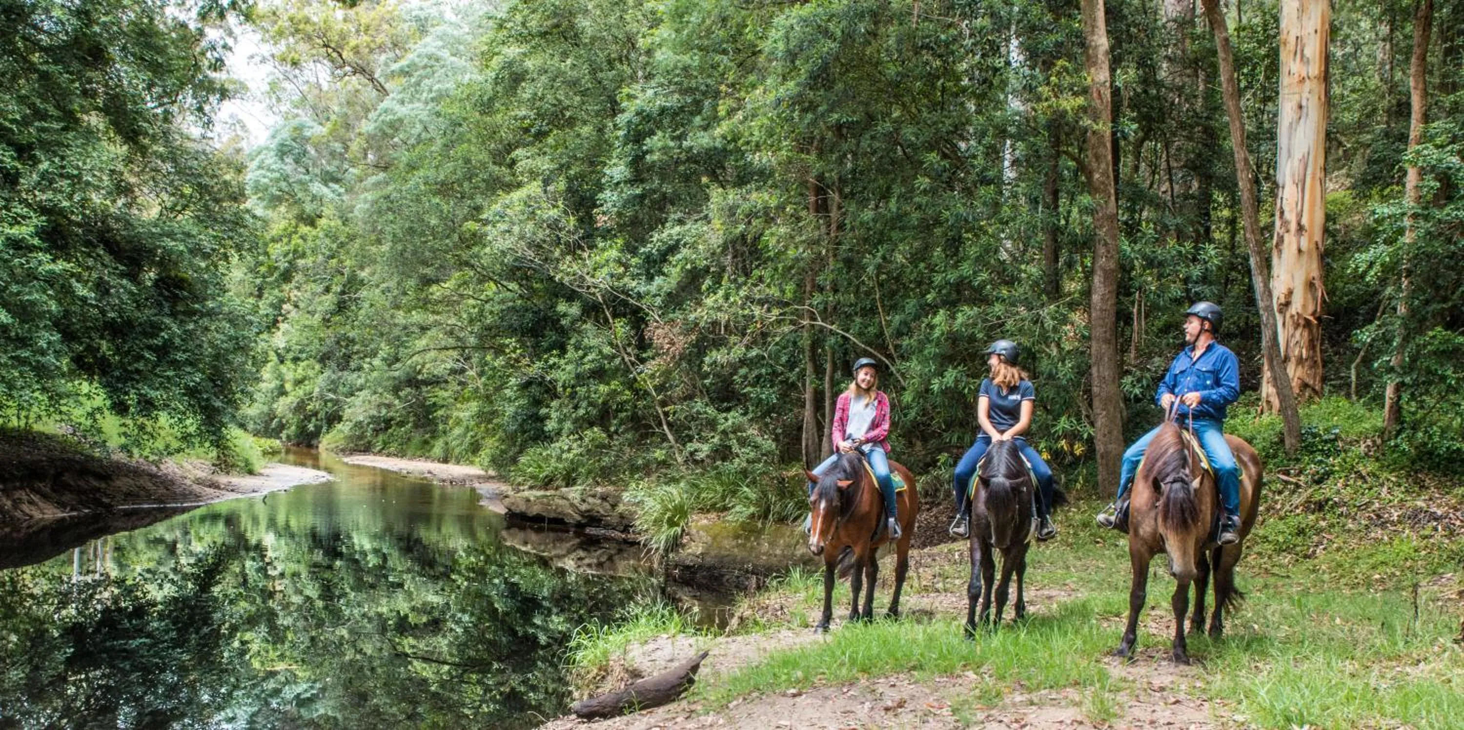 Horse-riding in Glenworth Valley Wilderness Adventures