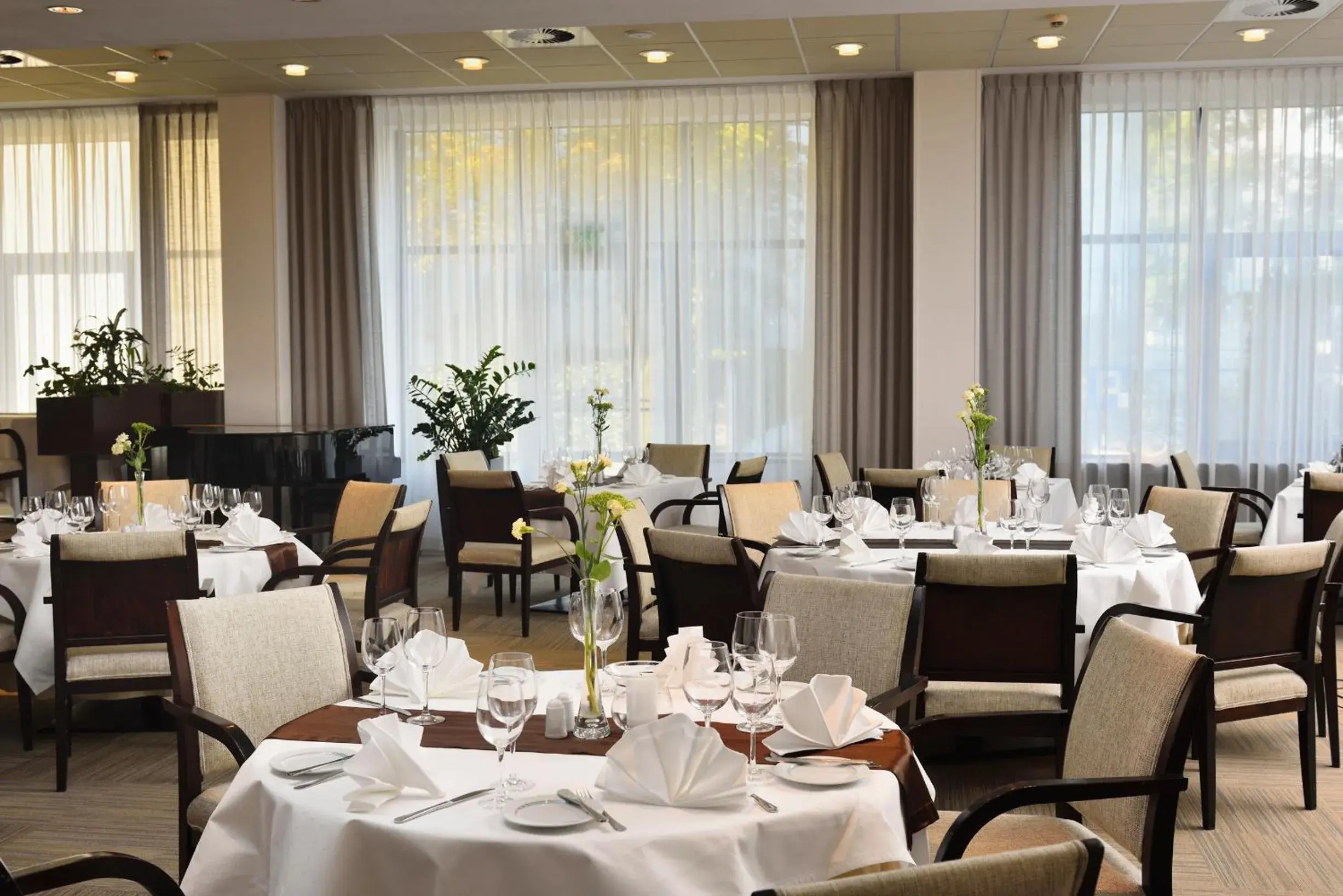 Restaurant/places to eat in City Hotel Restaurant/places to eat in City Hotel