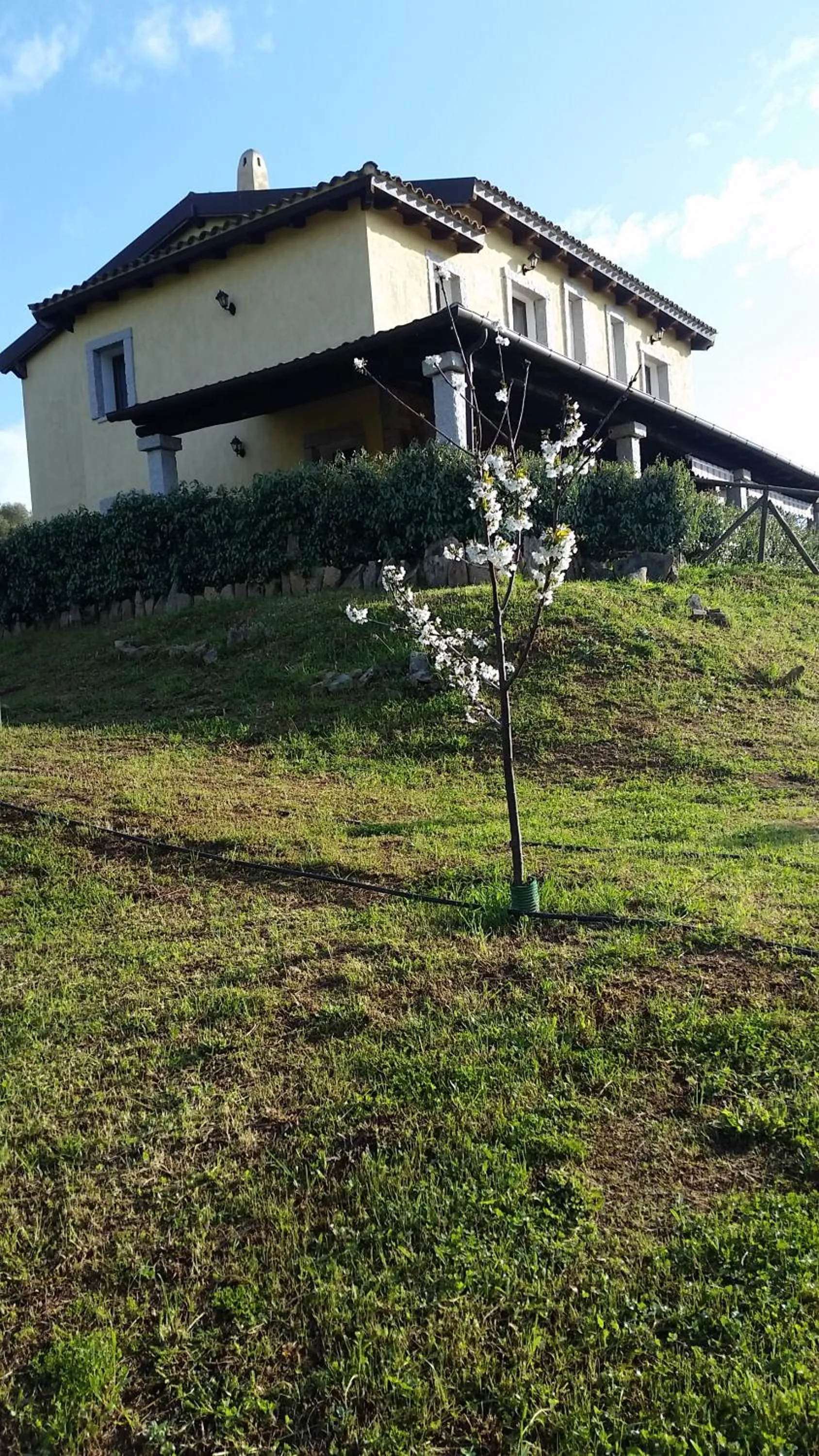 Property building in B&B Sa Soliana