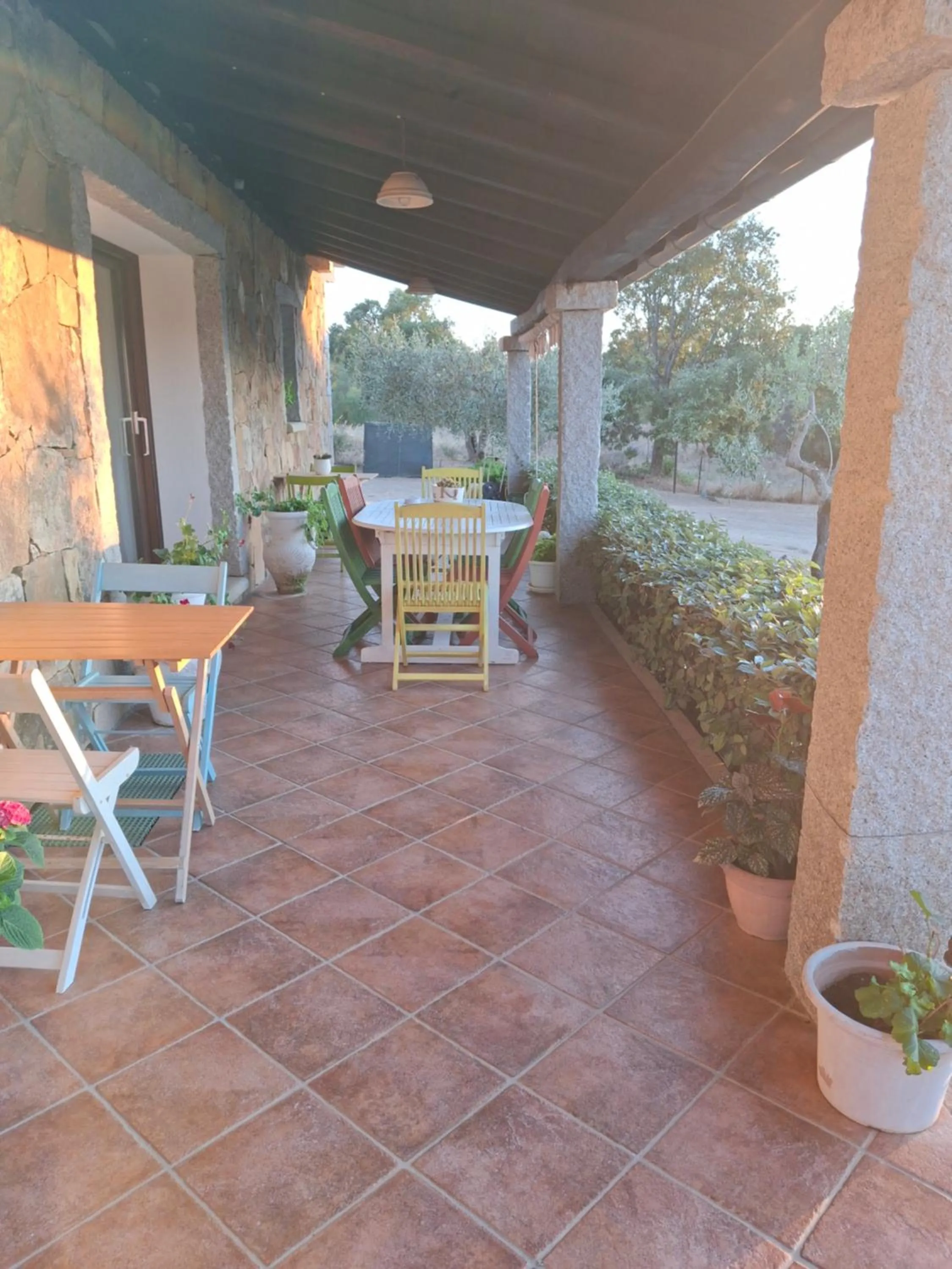 Balcony/Terrace in B&B Sa Soliana