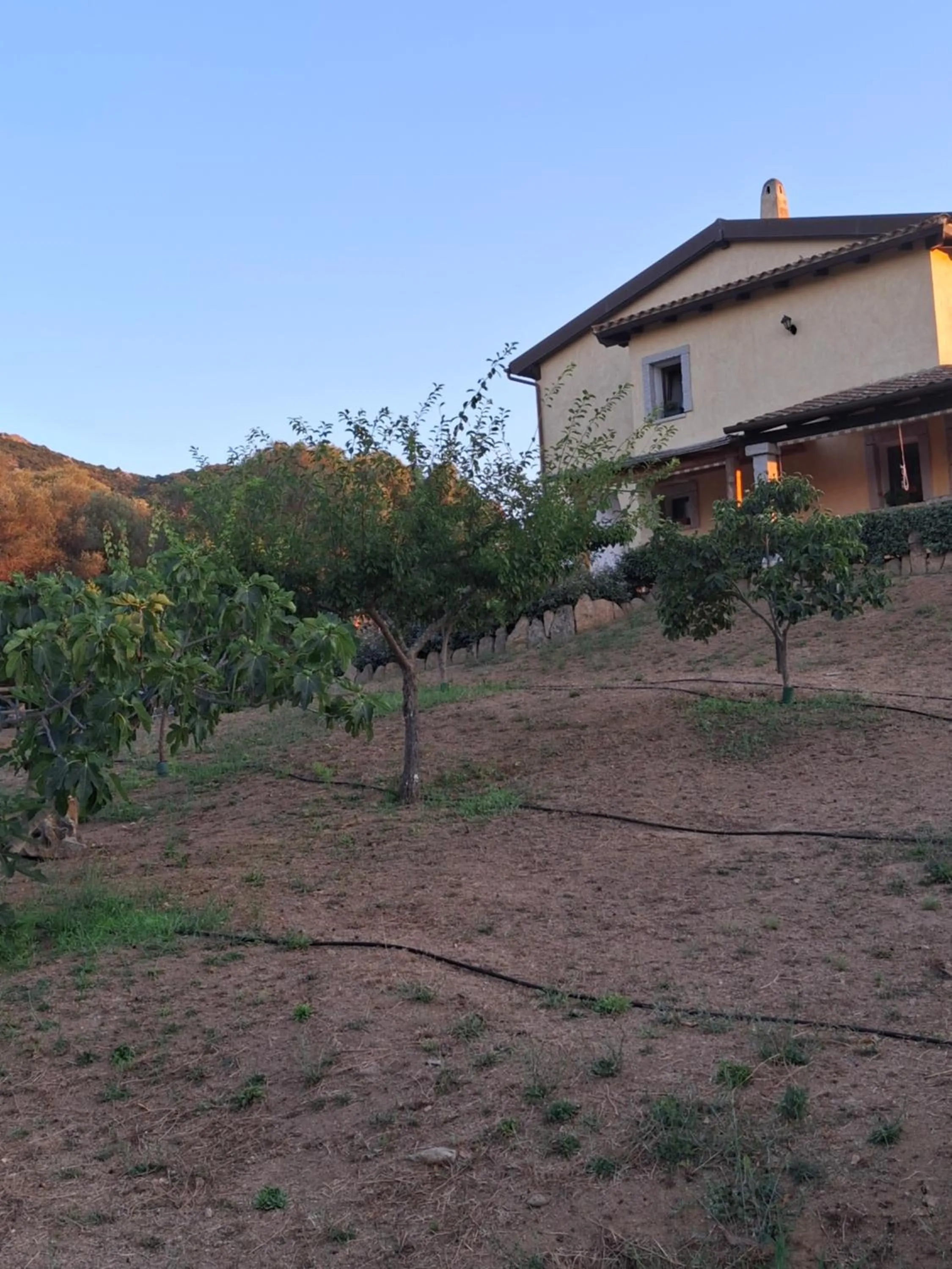 Natural landscape in B&B Sa Soliana