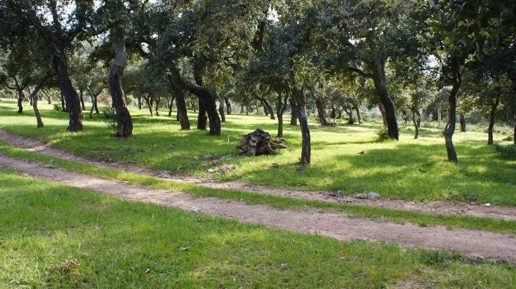 Garden in B&B Sa Soliana