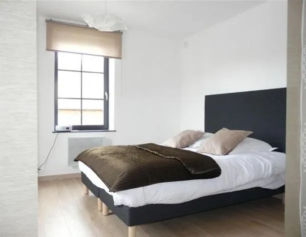 Photo of the whole room, Bed in Les Mini-lofts de Paul et Virginie