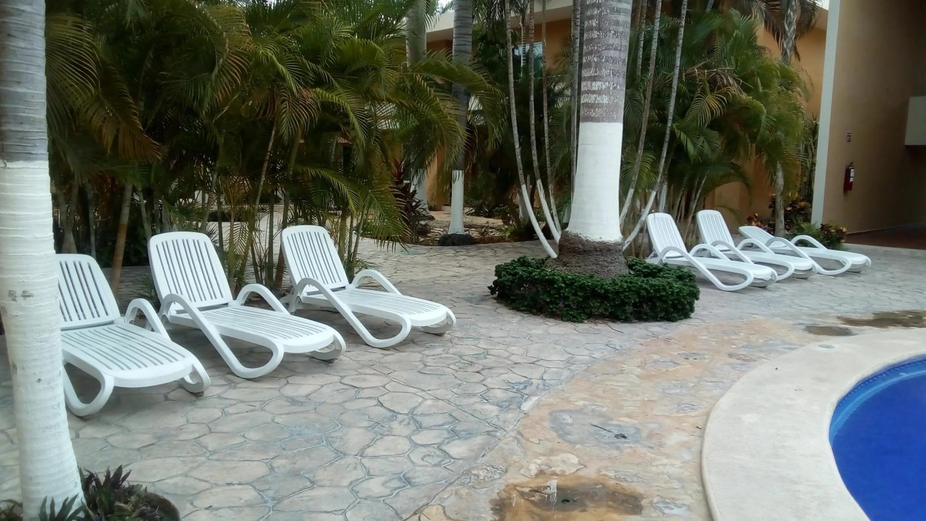 Garden in Tecnohotel Mérida Norte