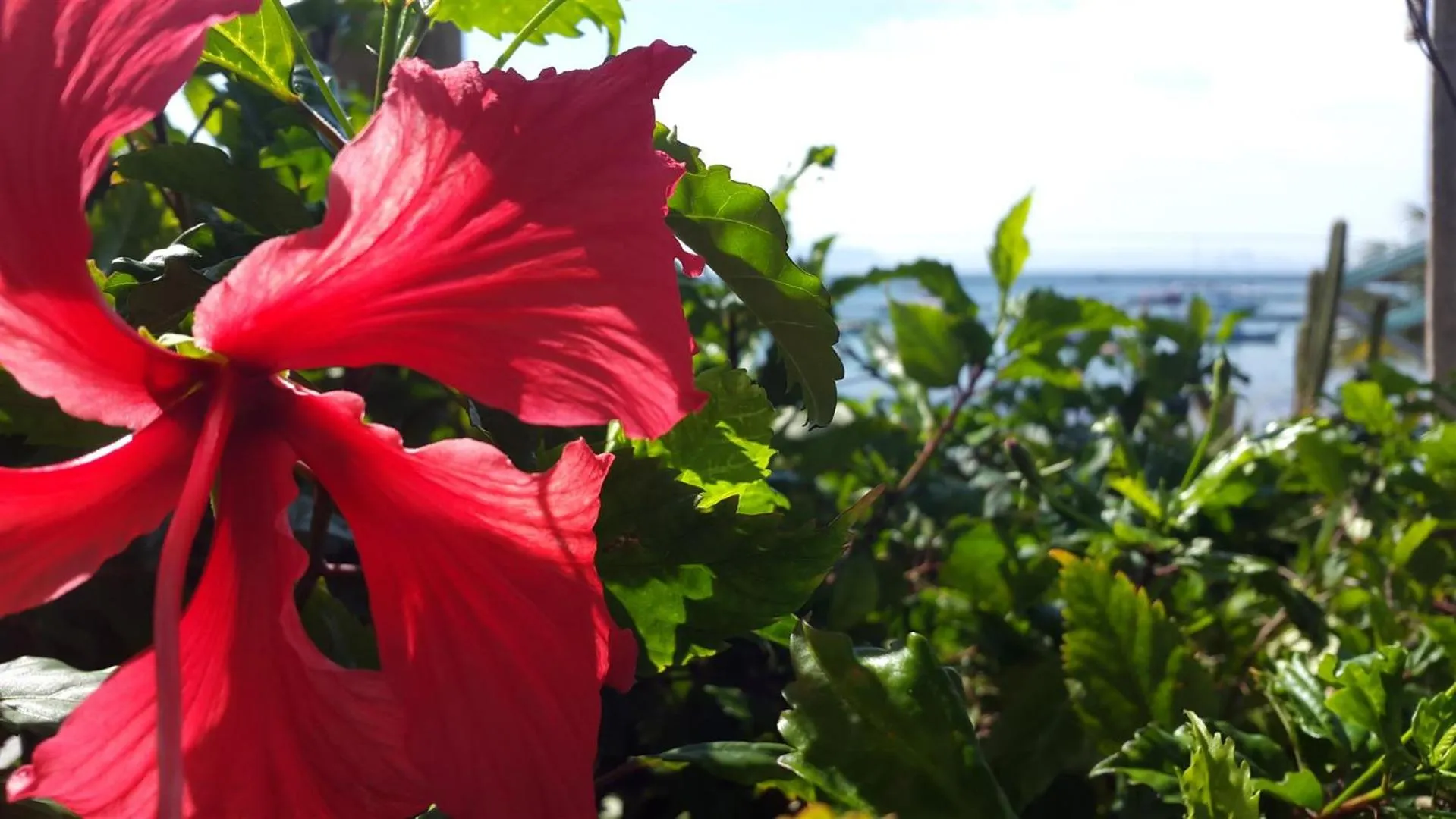Garden in Pousada Casa Búzios