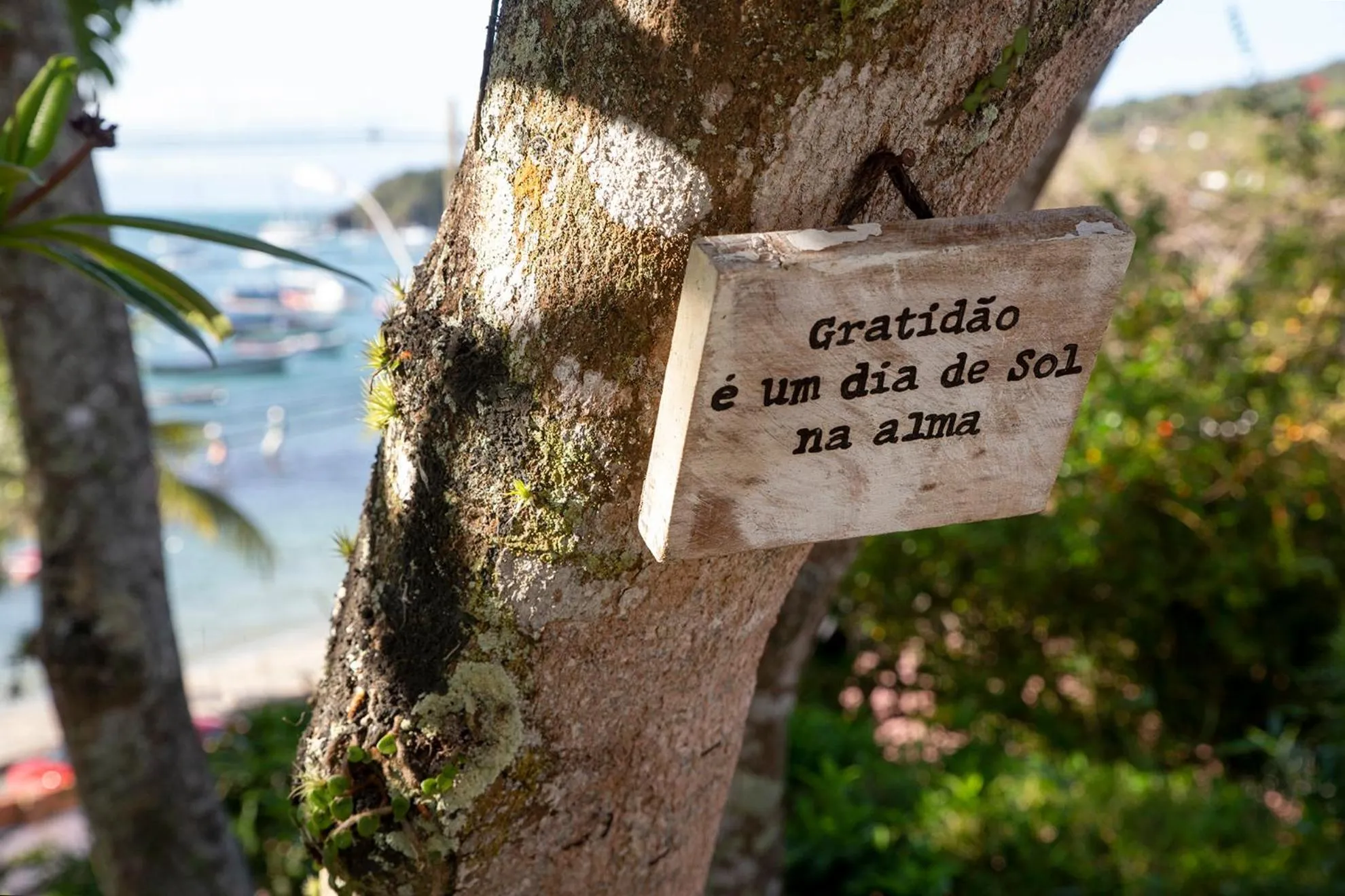 Decorative detail in Pousada Casa Búzios