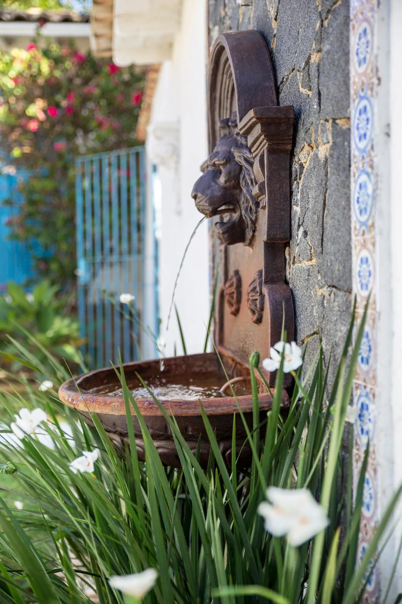 Garden in Pousada Casa Búzios