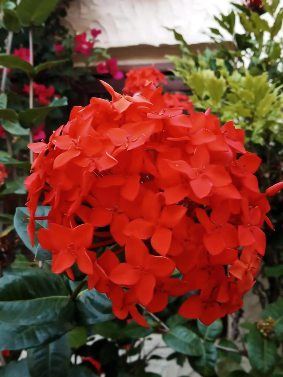 Day in Villa'l Mare Hotel