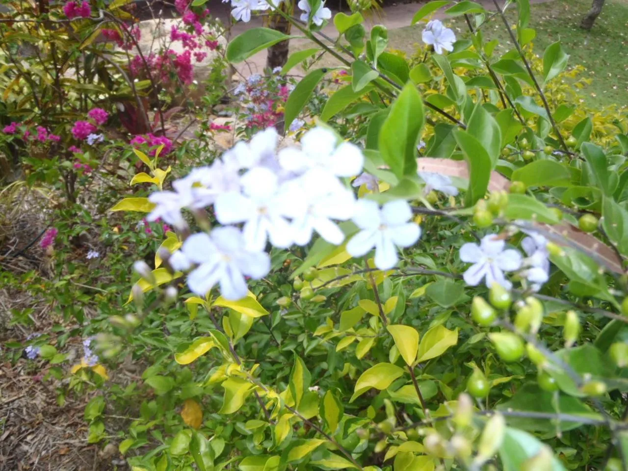 Day in Beachside Holiday Units